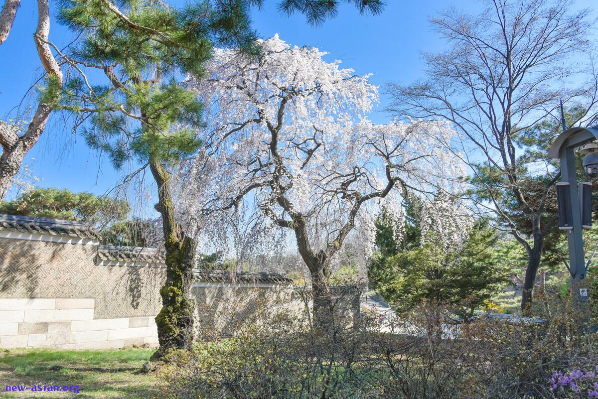 D119262C-8ABE-41A7-8B85-5DDE5D197560.jpeg.jpg