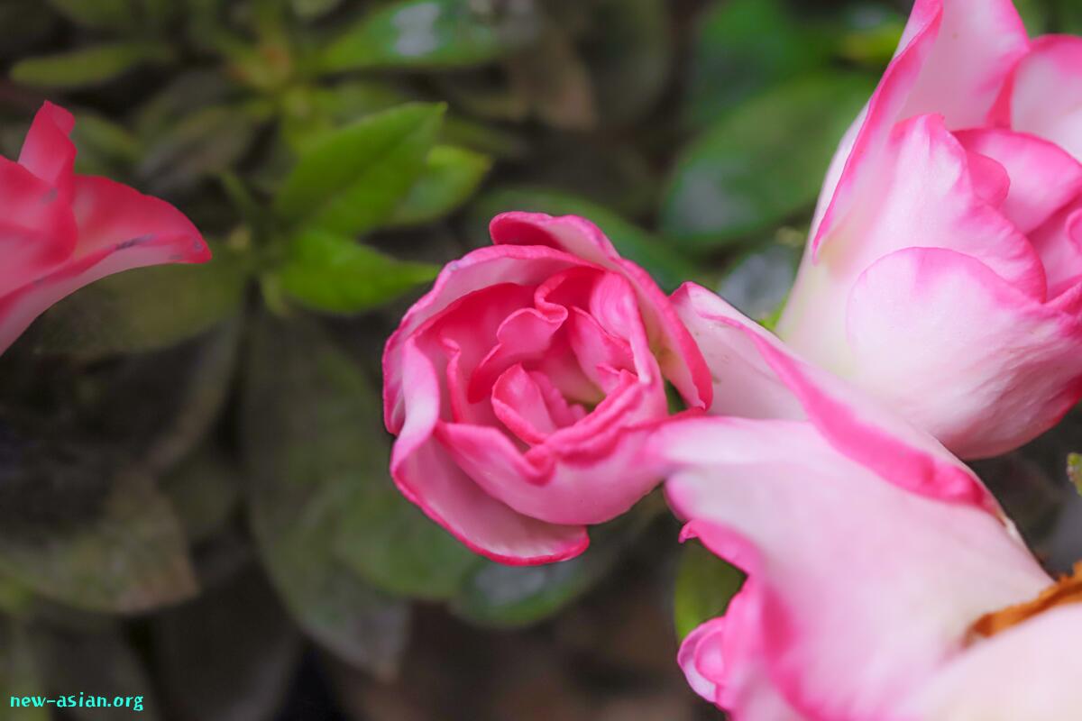 5AE5354F-2388-48C0-BC15-E28441DAAAC3.jpeg.jpg