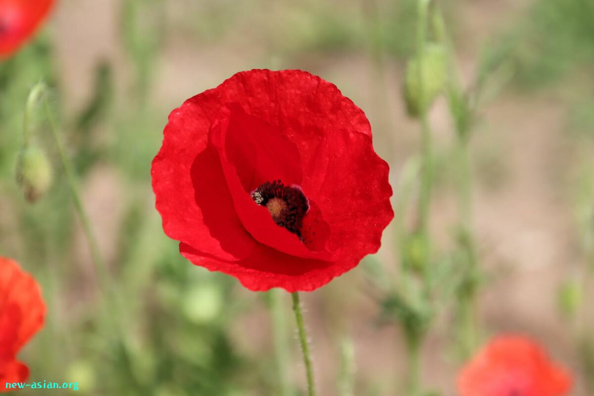 D5BF3FBD-3651-4FAF-92EE-C930DBBD3EF6.jpeg.jpg