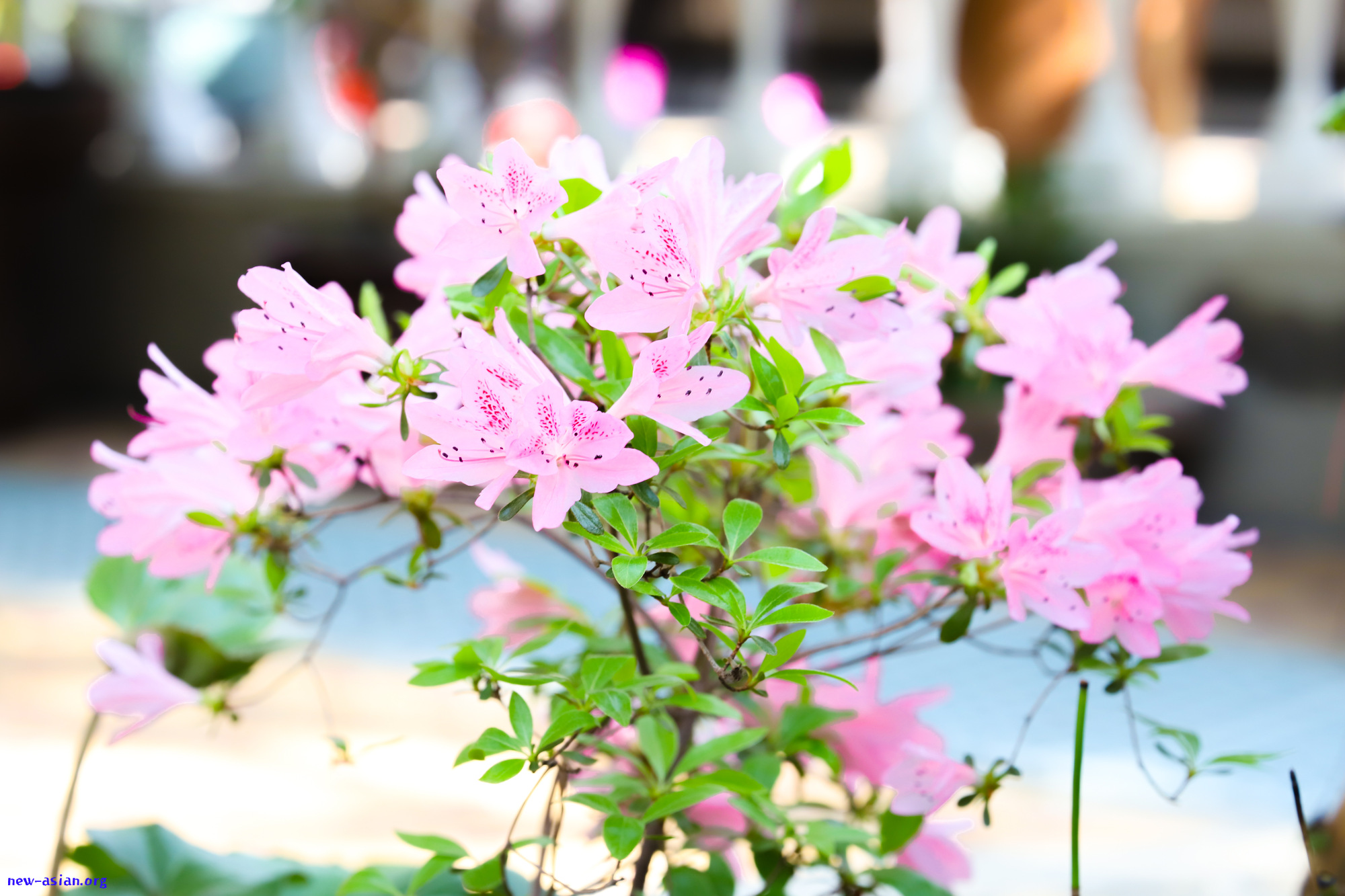 53BE13FF-7F94-4E12-90D7-E378B325069D.jpeg