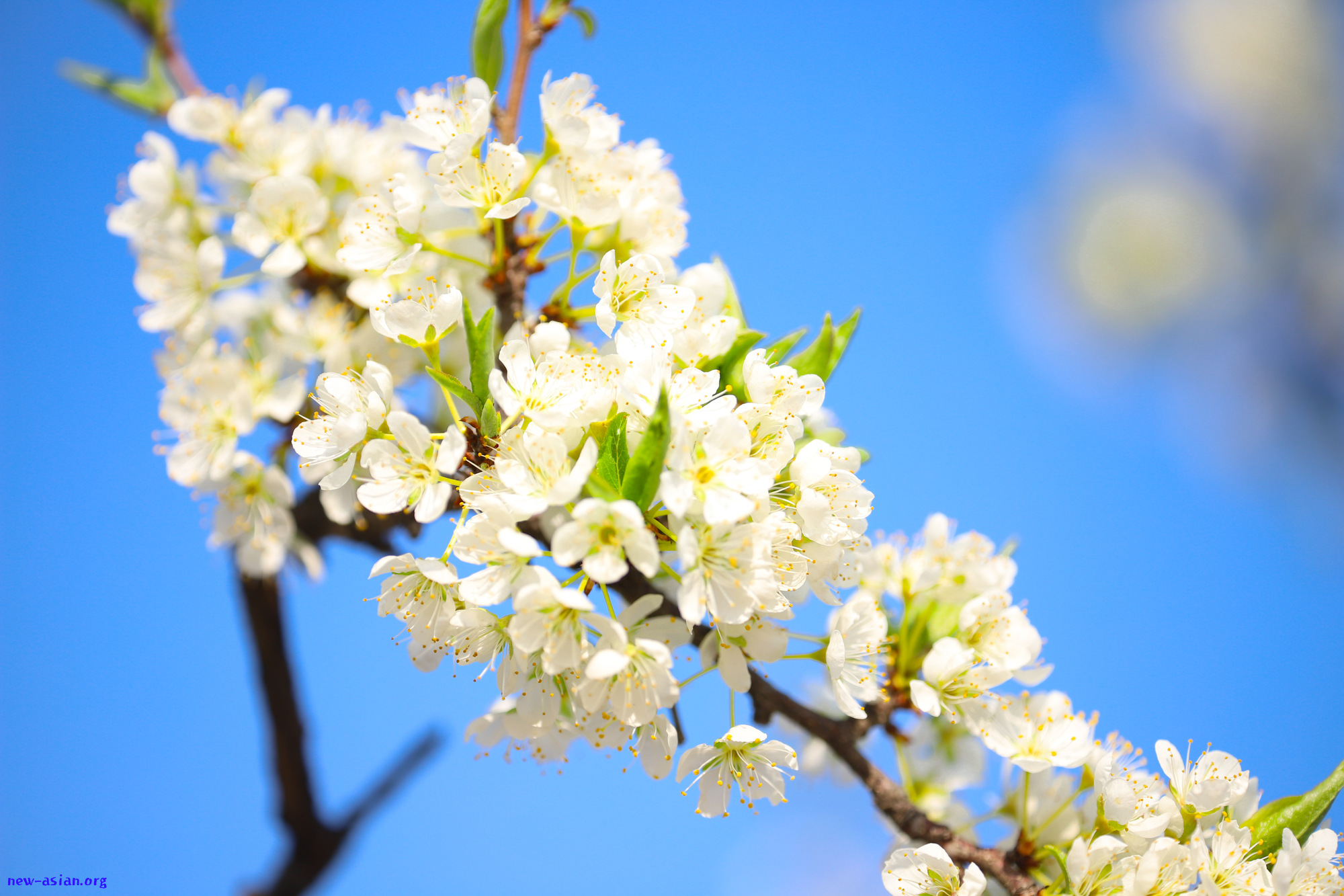 239AFF4B-1DC1-48D7-A8D6-208CEDD0F427.jpeg