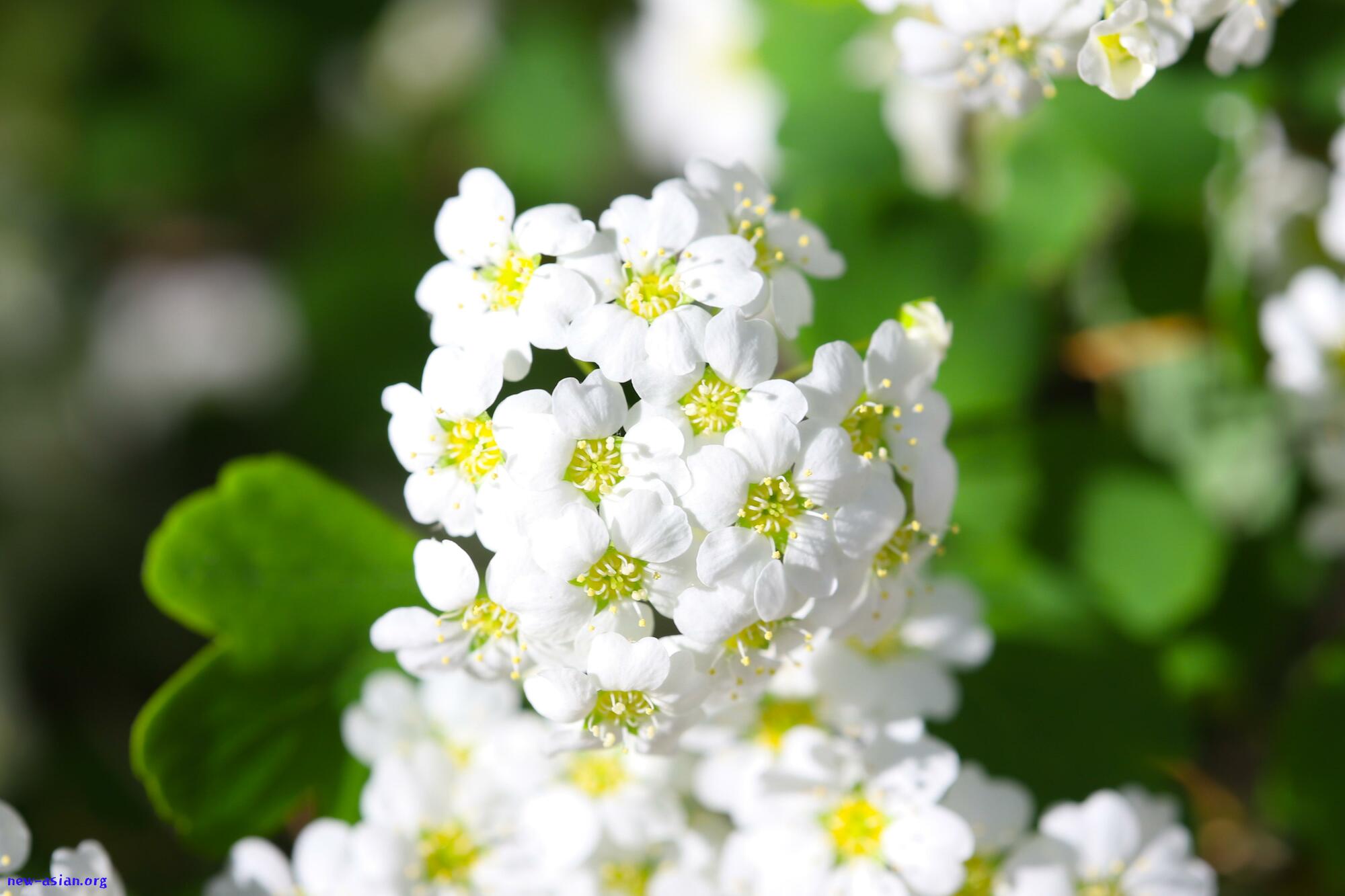 B3D71280-909F-414A-93AE-AB6A66889CBC.jpeg.jpg