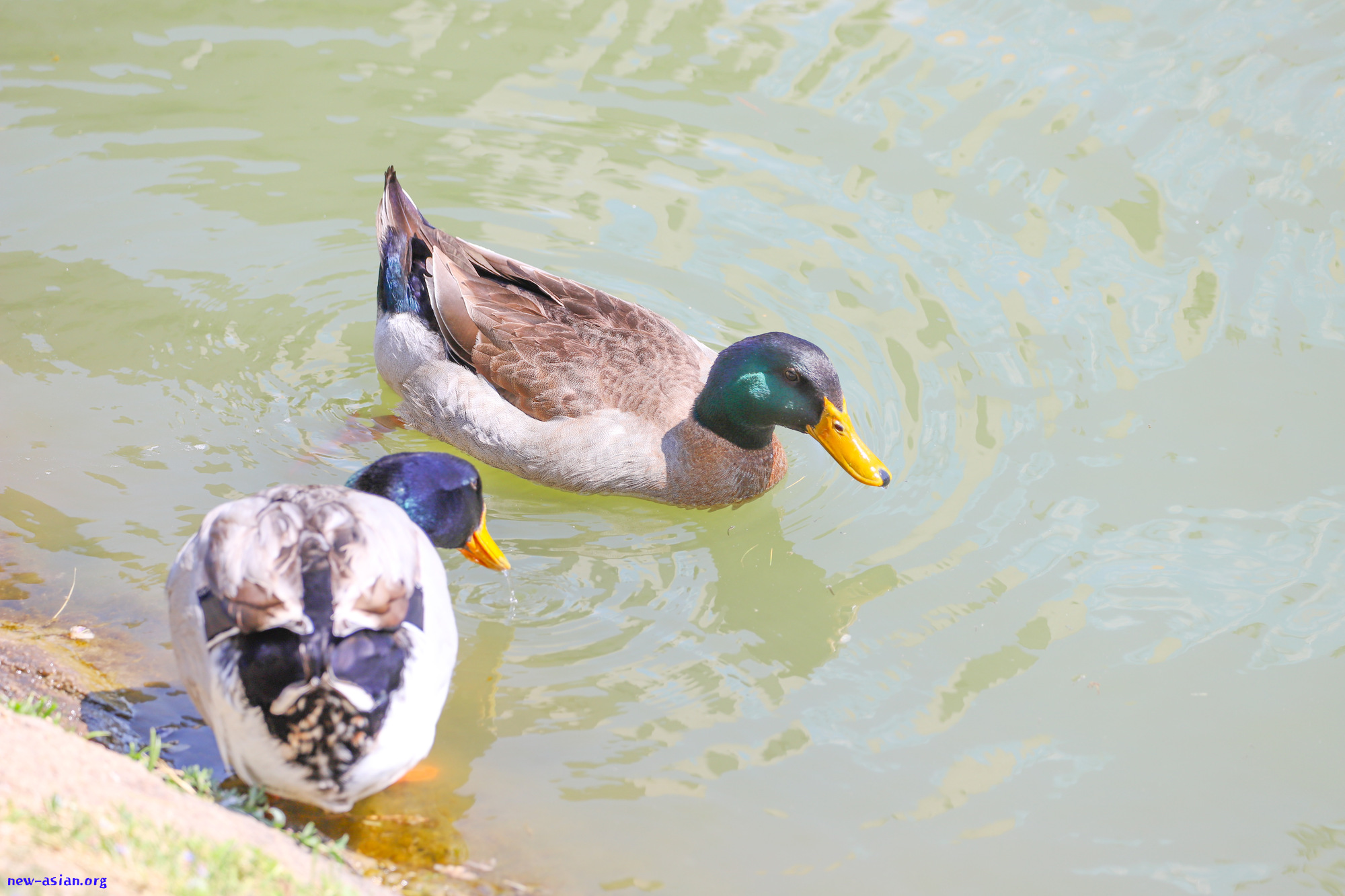 8058393E-AB67-4B2F-BF95-4336C091AA84.jpeg