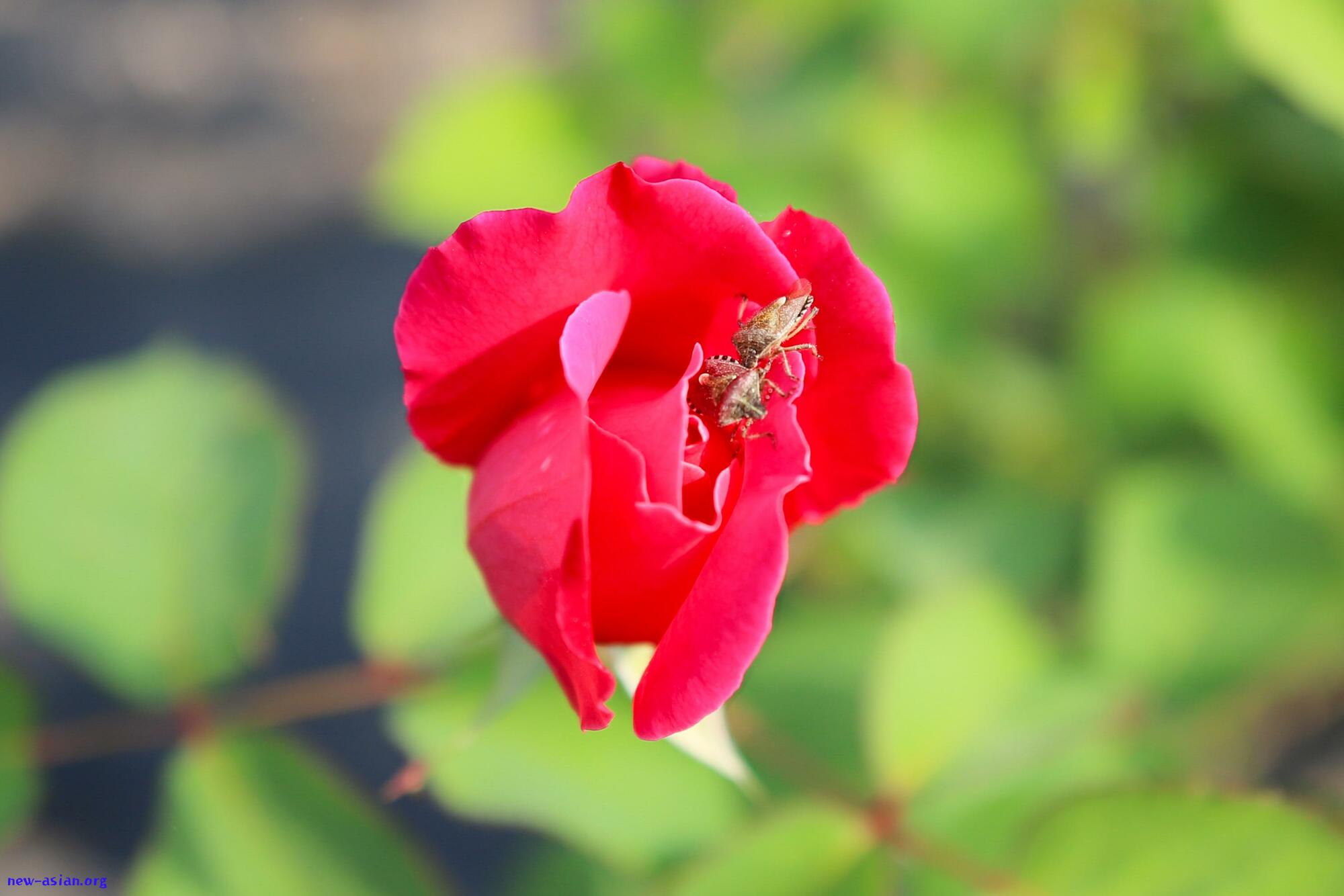 D8304E49-1450-433D-8CC2-B9C273175617.jpeg.jpg