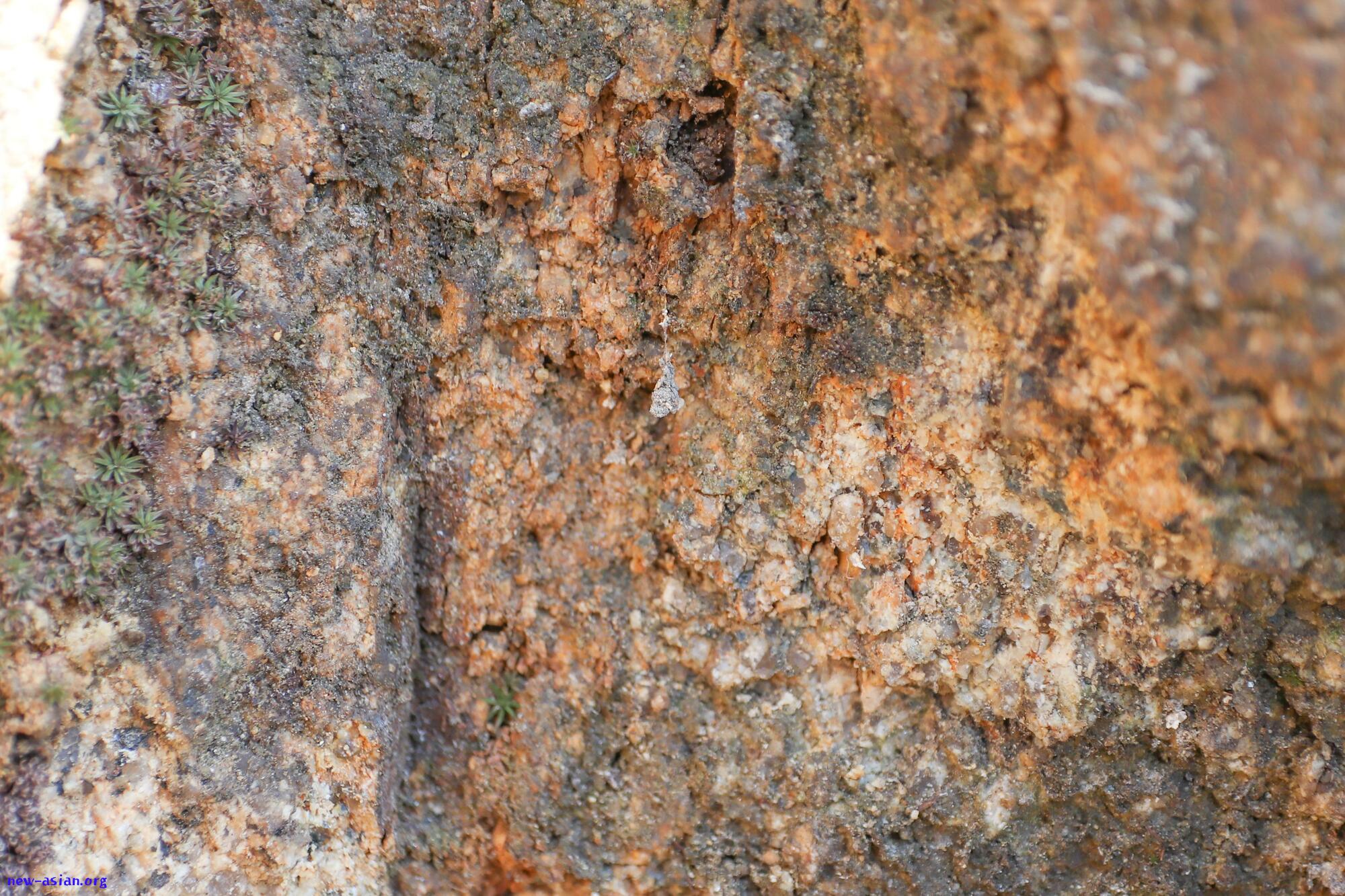 4650D763-89DD-4A11-9D65-FF6D618B286F.jpeg.jpg