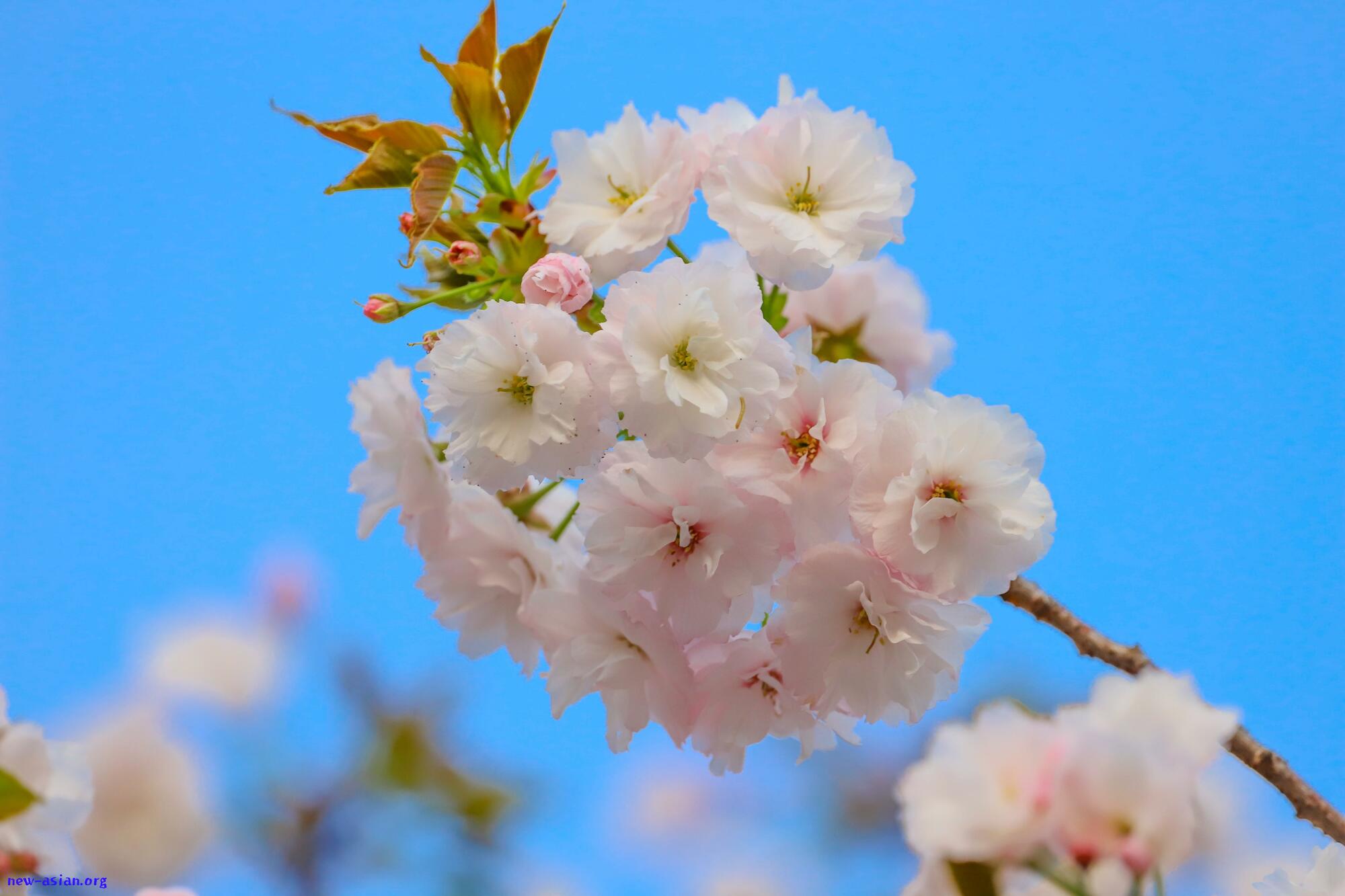 ED673C65-A990-46FD-8CFB-F74722FC1646.jpeg.jpg