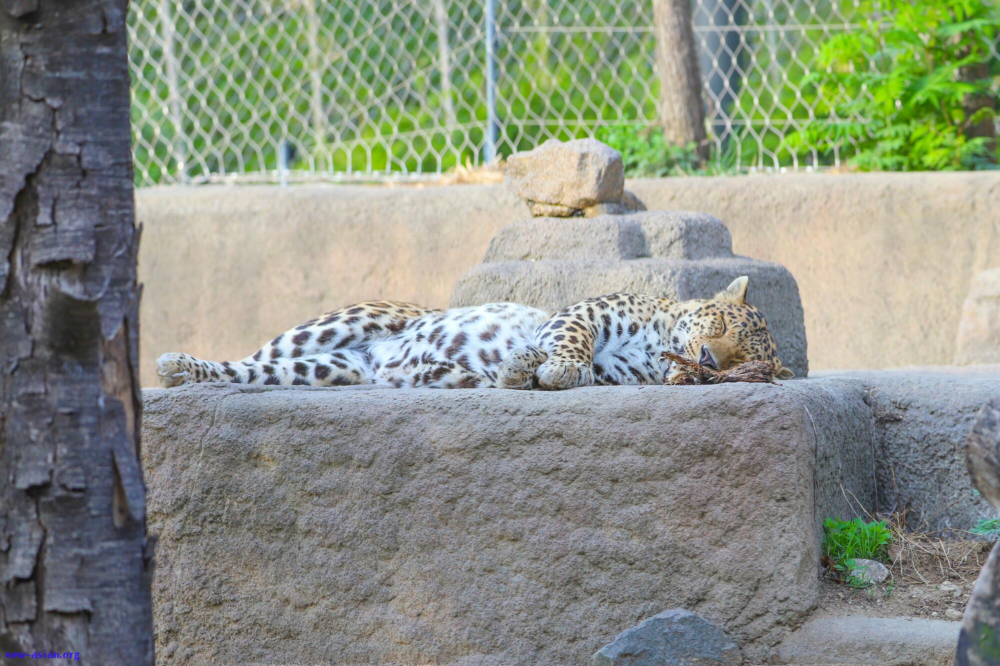 78870B98-9B35-4474-ADF0-50C2006F688B.jpeg.jpg