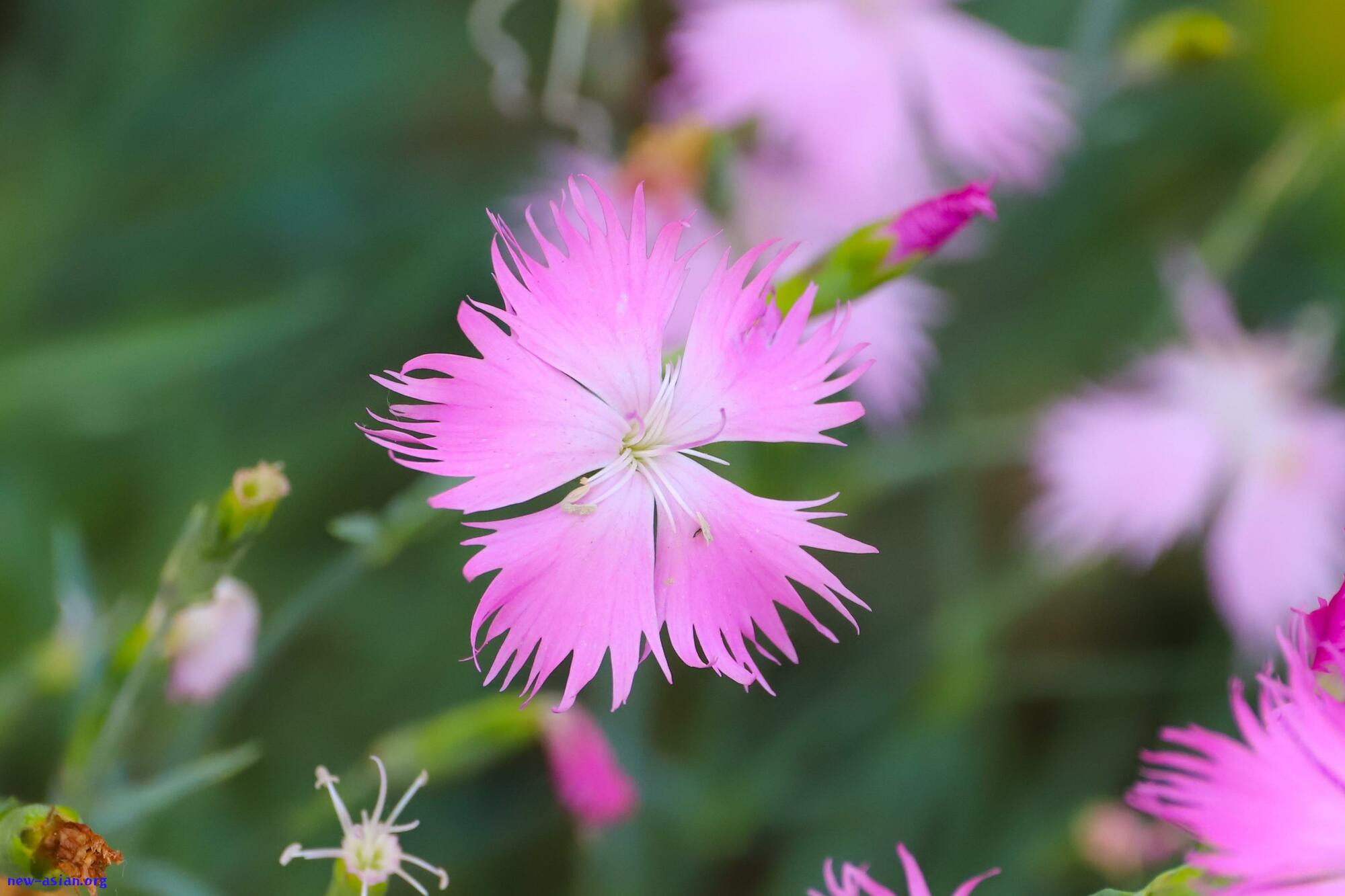 A8EF9909-4087-4C7C-B0B3-E1AEB464C478.jpeg.jpg