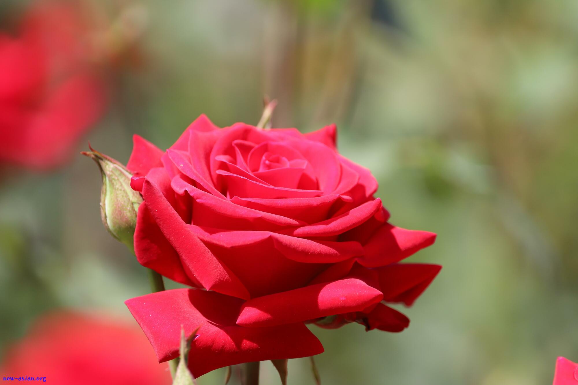 A2A13E10-97FD-41DB-B815-6A01CB1924C8.jpeg.jpg