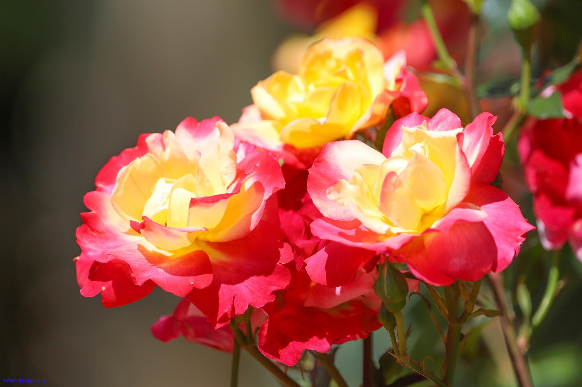 D8CB25B0-A46A-40A5-A7FC-A65A8E457012.jpeg.jpg