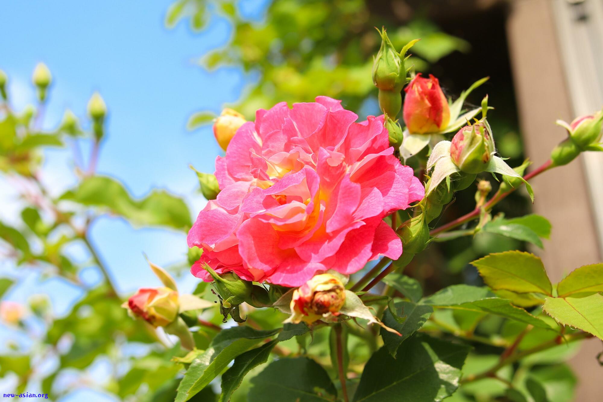 C943A132-5AA9-4D60-AC3C-5993E6947BD5.jpeg.jpg