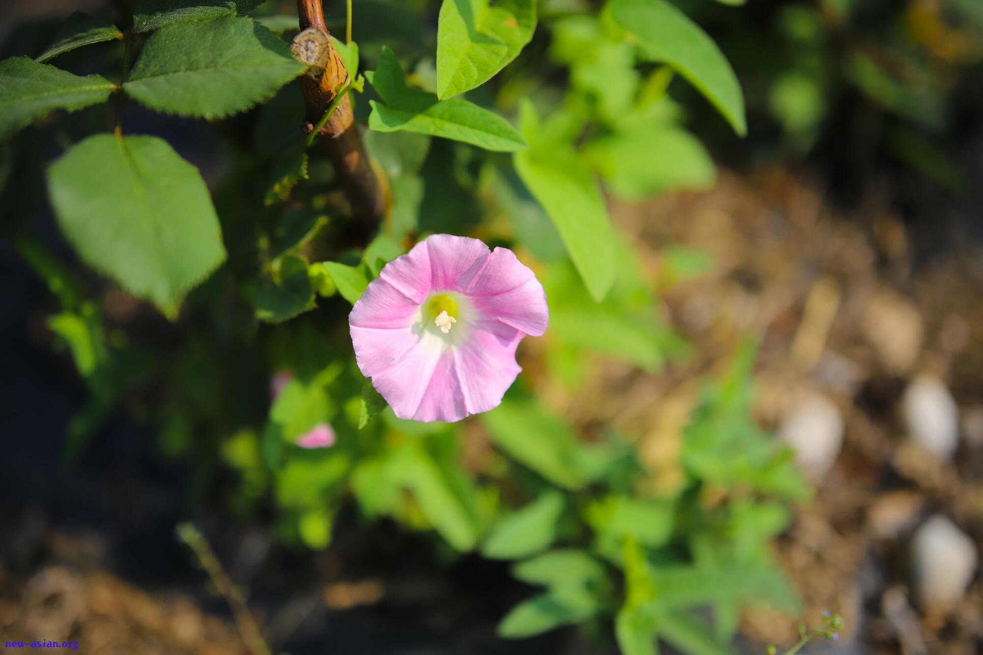 2DB61778-5F0C-4406-A257-6806AA04A565.jpeg.jpg