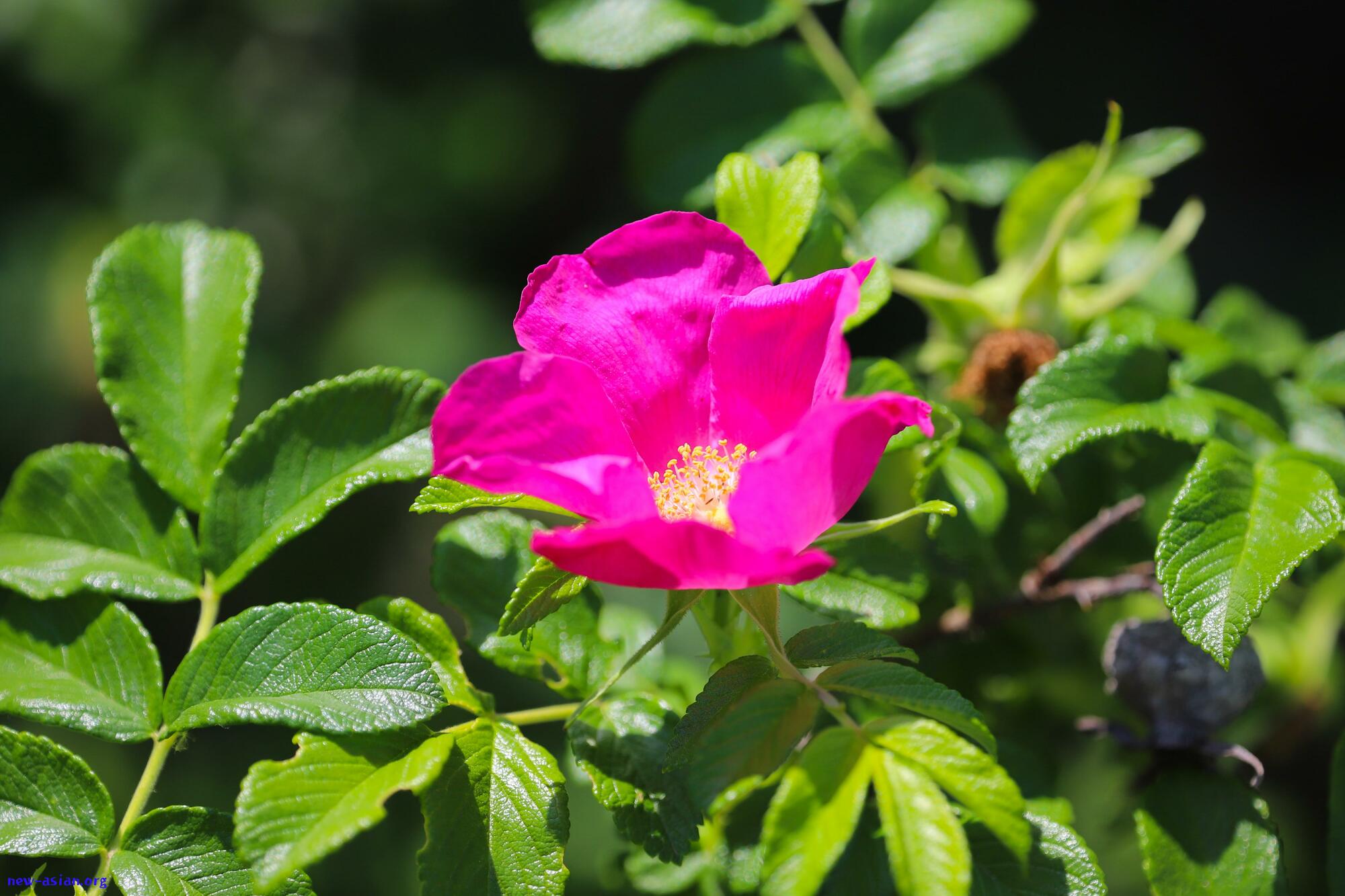 606F240D-23F9-4822-B8FF-65149EBE3224.jpeg.jpg