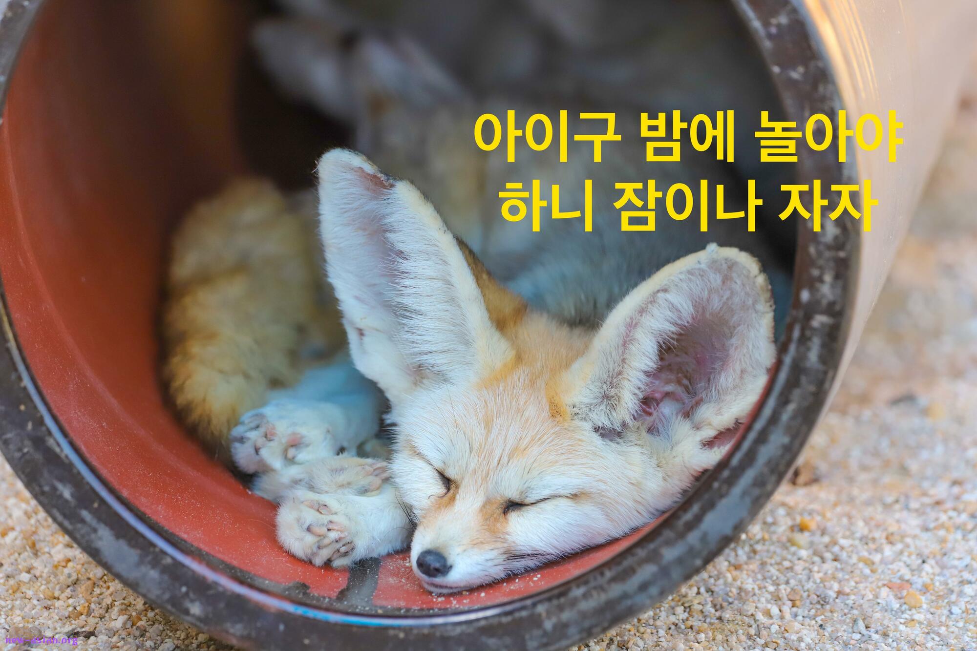 9531C9CF-30D8-4050-AA82-36A30F002C8F.jpeg.jpg