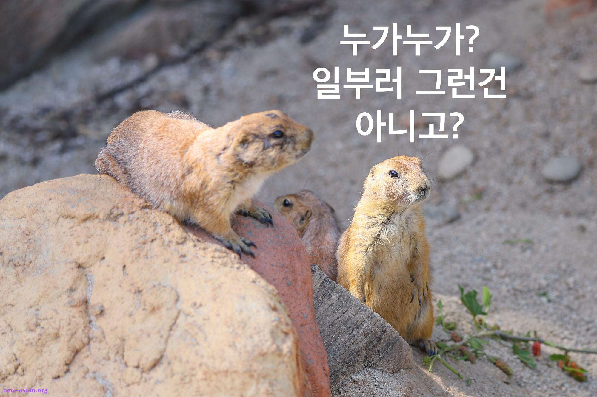 6DFF9D62-BA10-4D46-B923-DB3B6486FC99.jpeg.jpg