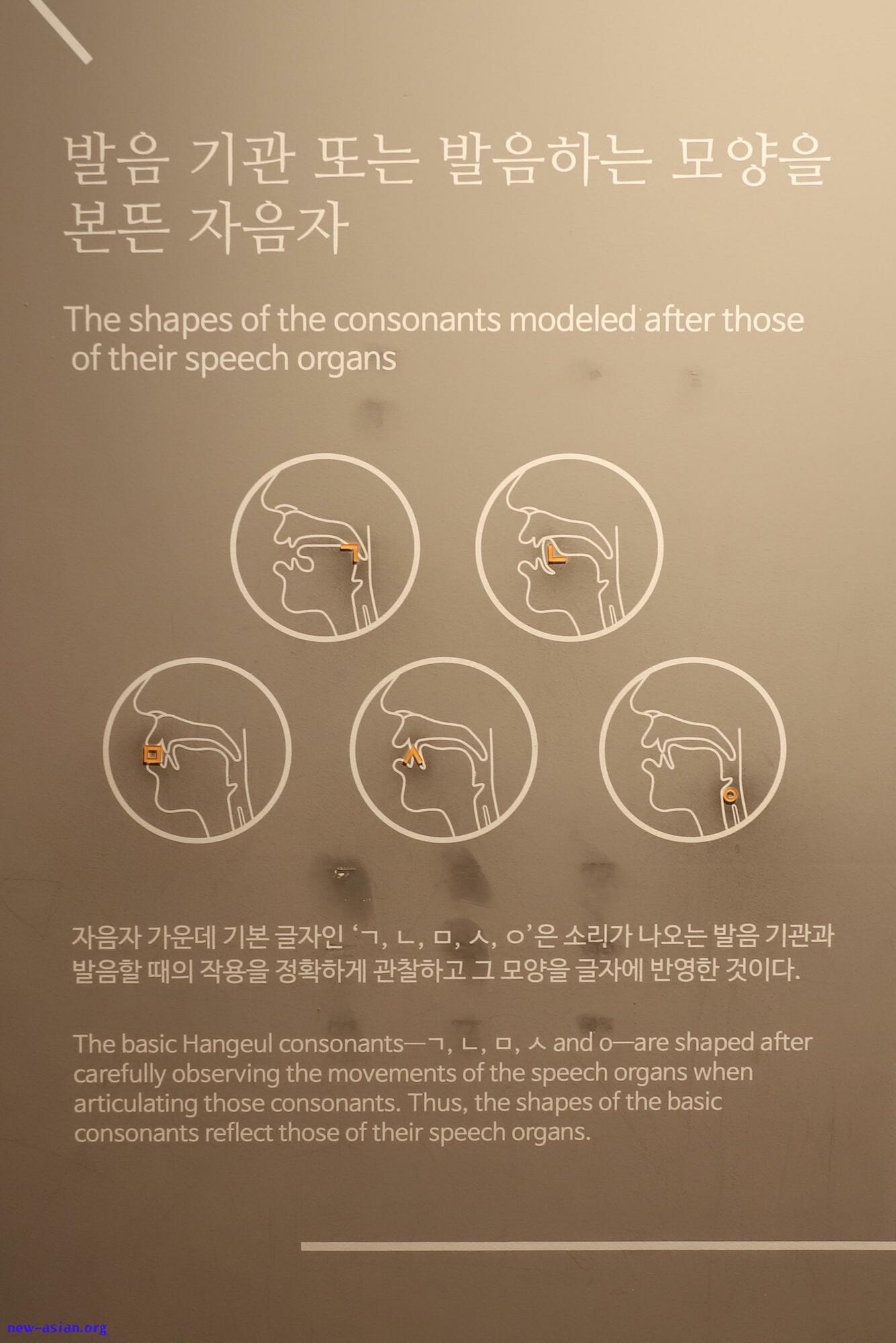 02C440EF-C84D-444B-9A2B-11A82AA7345F.jpeg.jpg