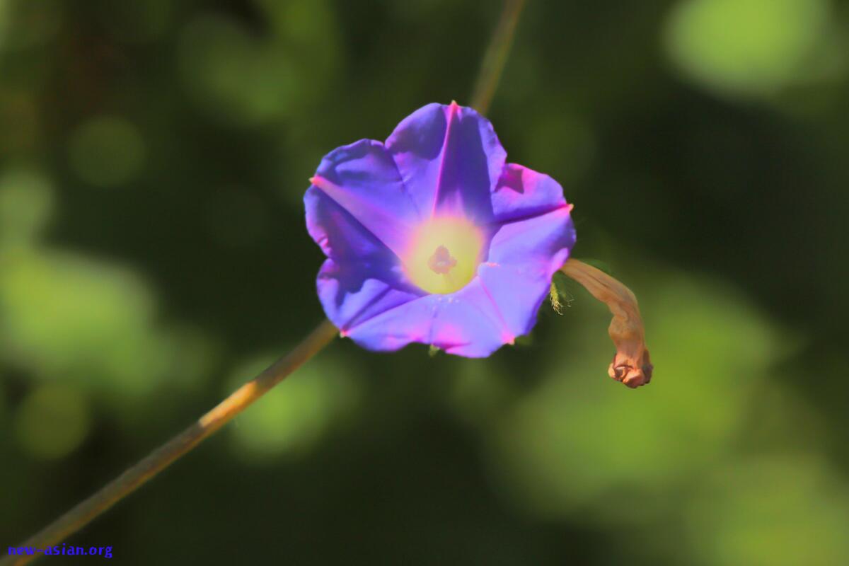 CE306695-1CF7-454F-8D4A-2147F001AF1B.jpeg.jpg