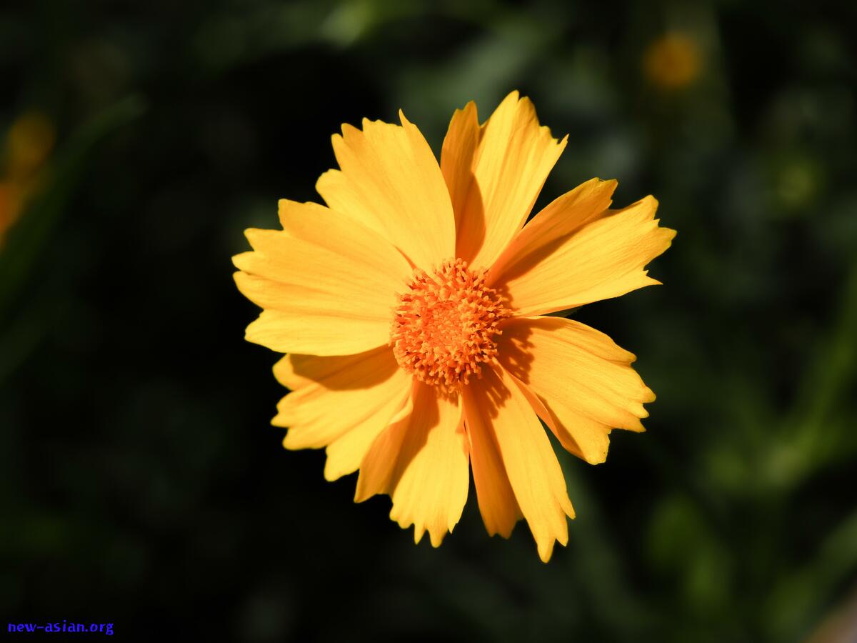 AB7750F6-CA39-4CC4-AA80-C2F976E2F5FF.jpeg.jpg