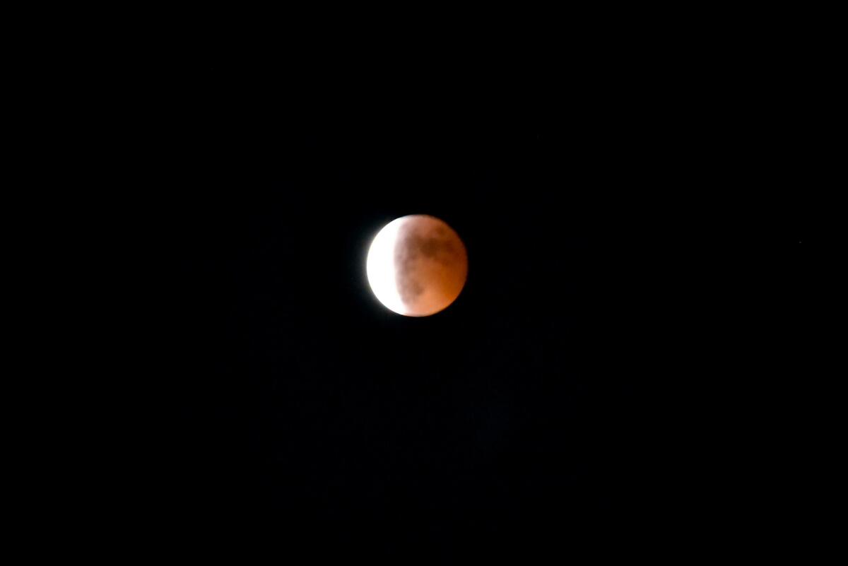 BC8DECFA-D1FA-4D30-86F8-5FA73F90F797.jpeg.jpg