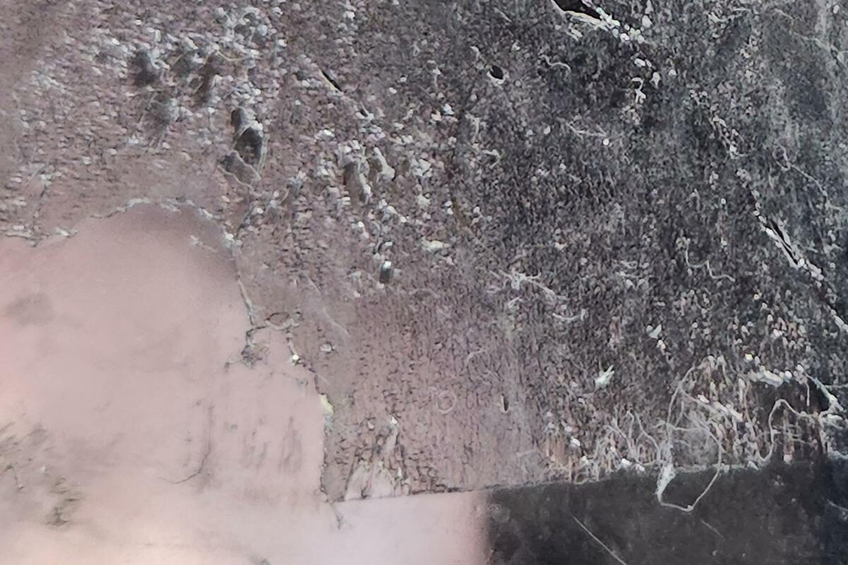 20221210_122554.jpg