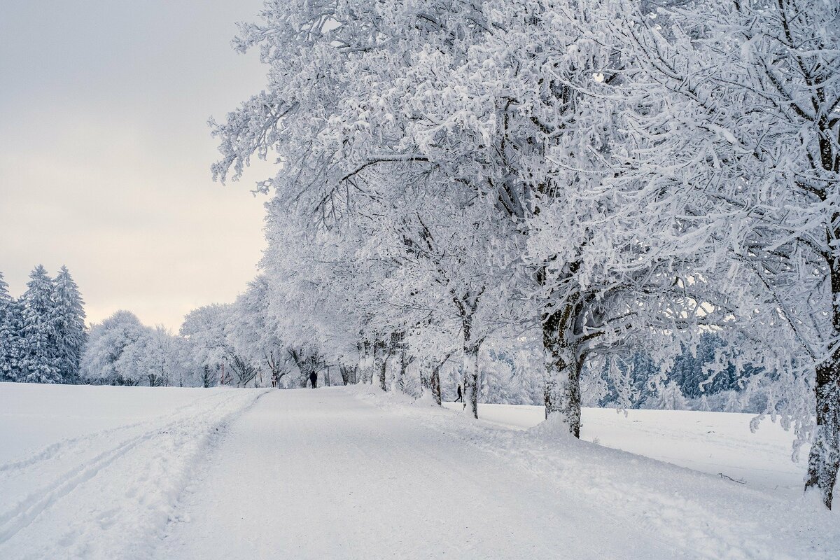 snow-7646952_1920.jpg