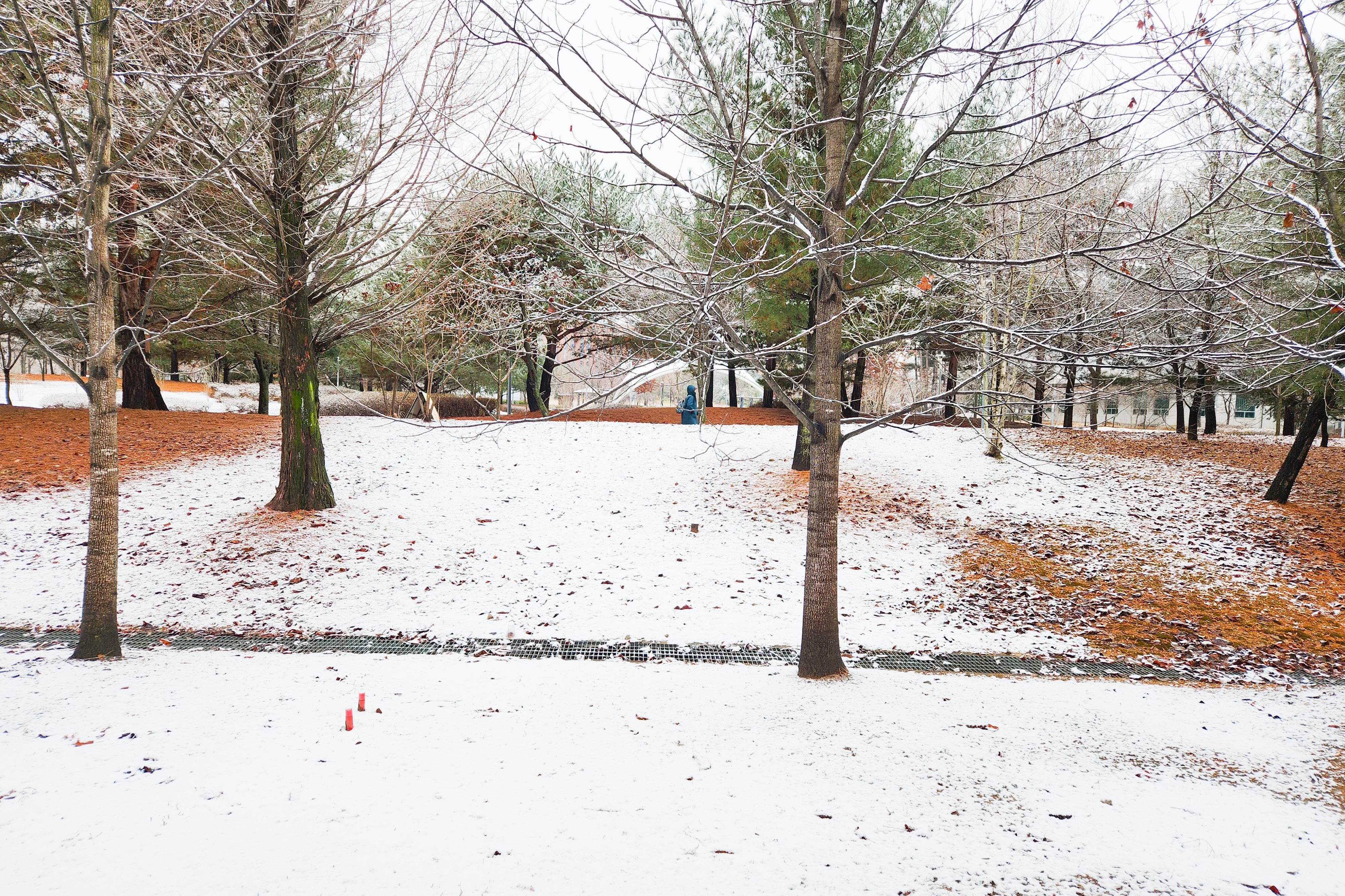 20230115_133526-6.jpg
