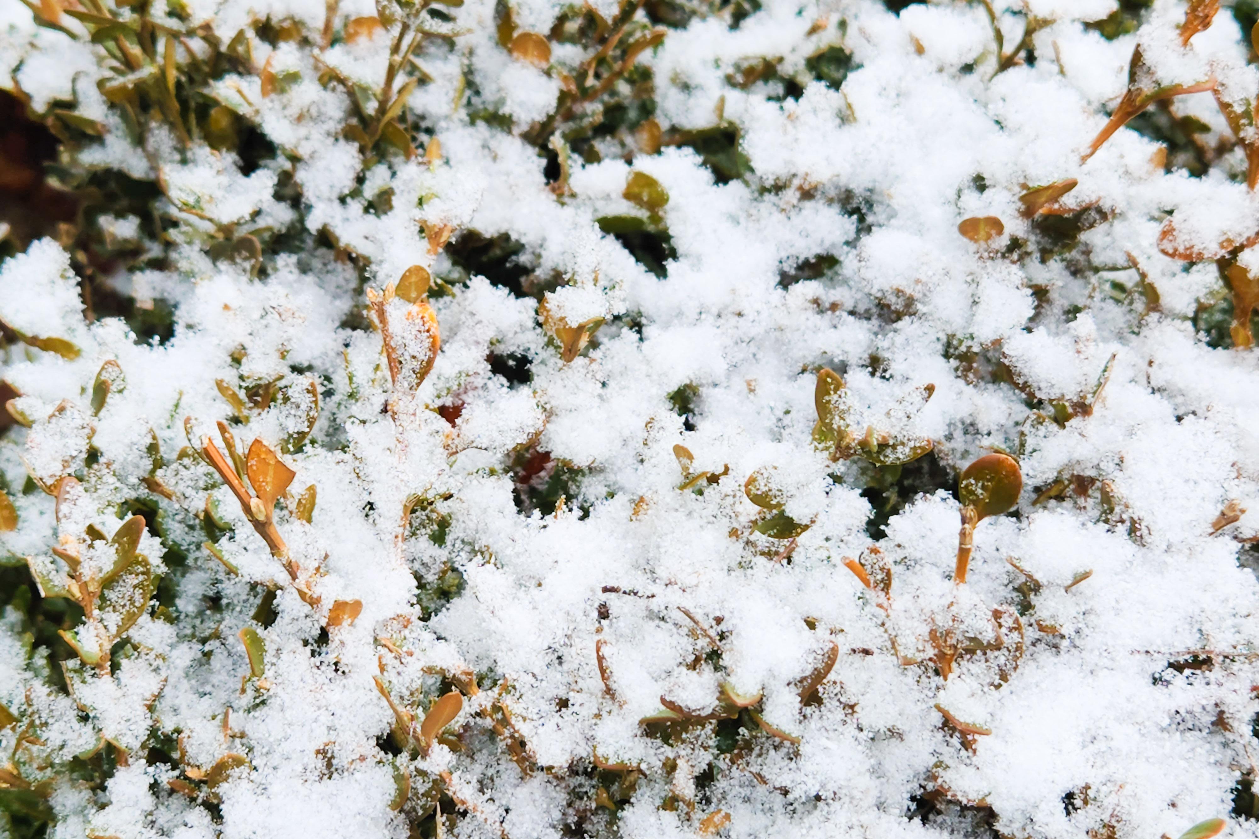 20230115_131302-5.jpg
