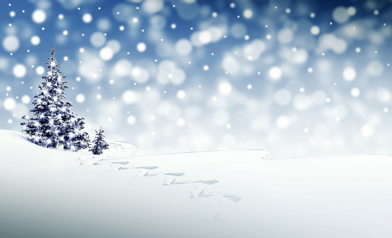 christmas-3864552_1920.jpg