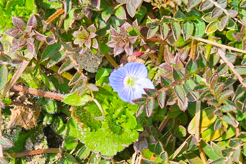 20230228_144149-61.jpg