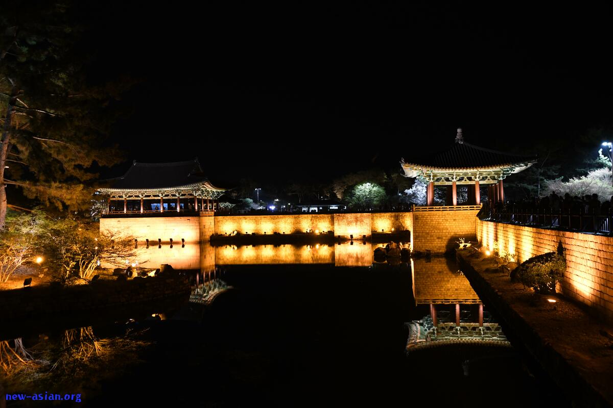 DSC_0529.JPG