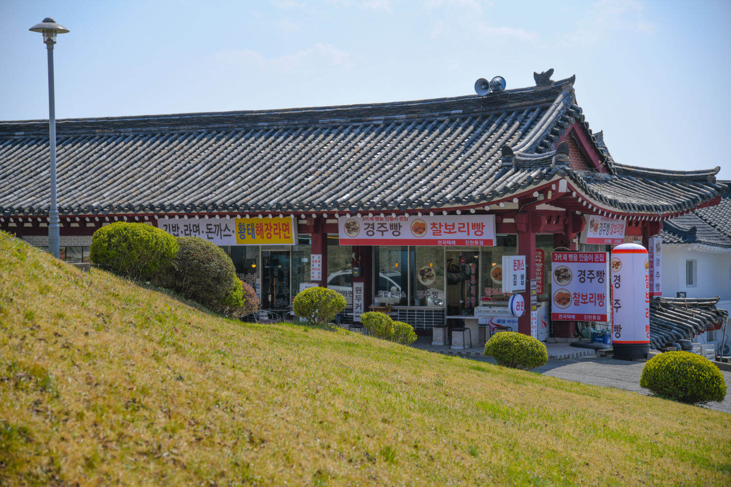 DSC_0364-258.jpg