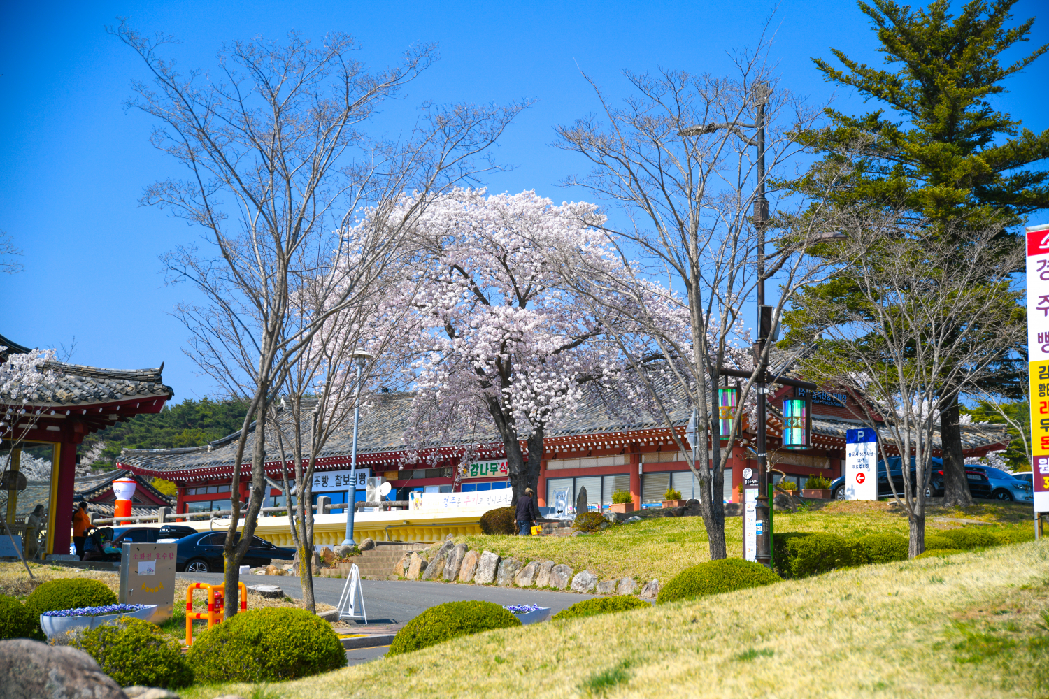 DSC_0374-223.jpg