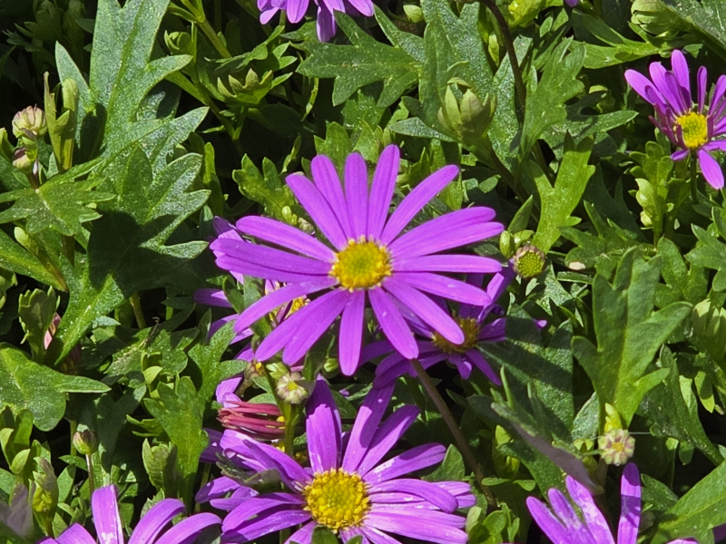 20240317_122056.jpg