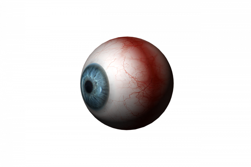 eye-1756628_1280.png
