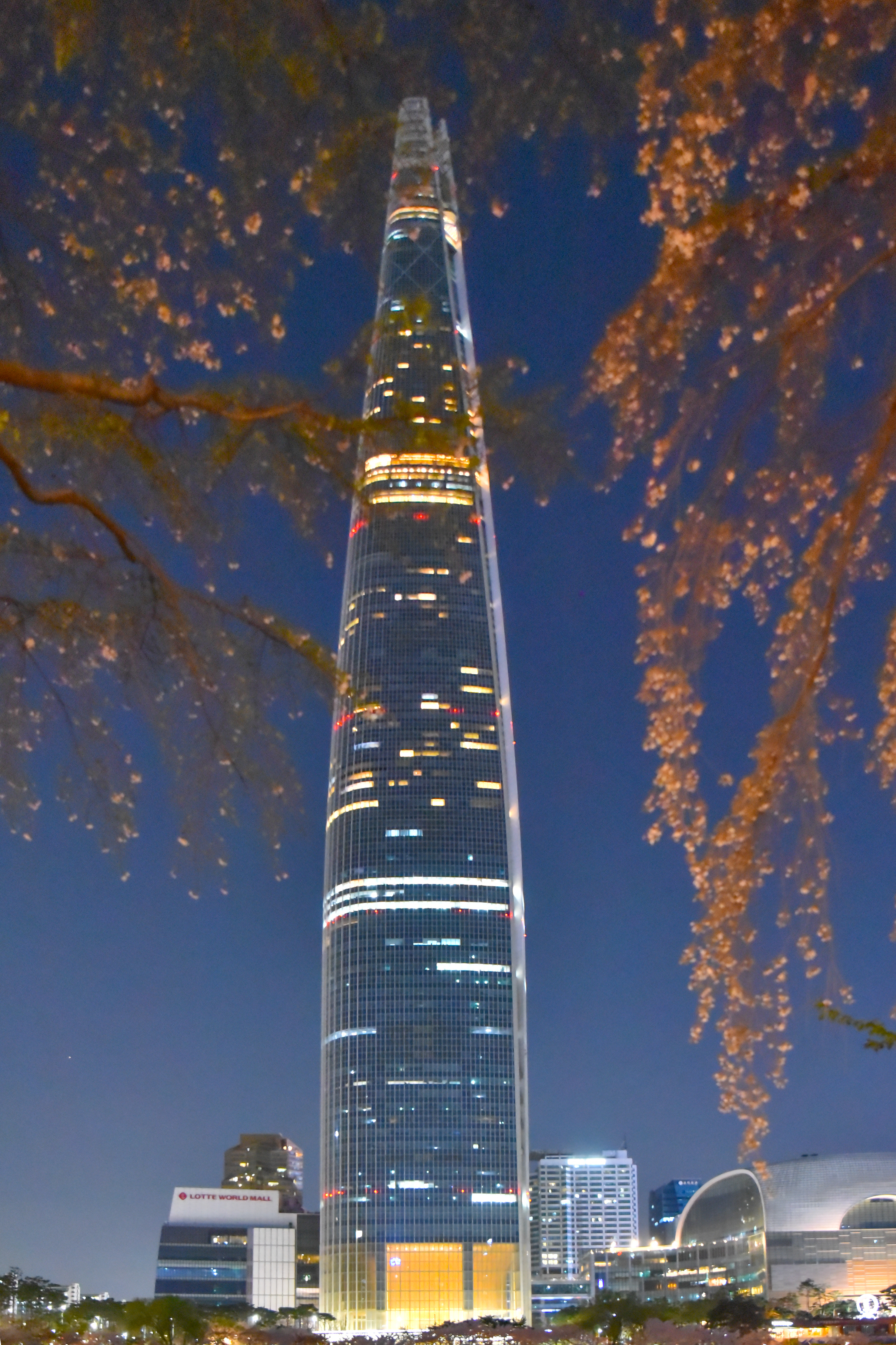 167772160-525.jpg