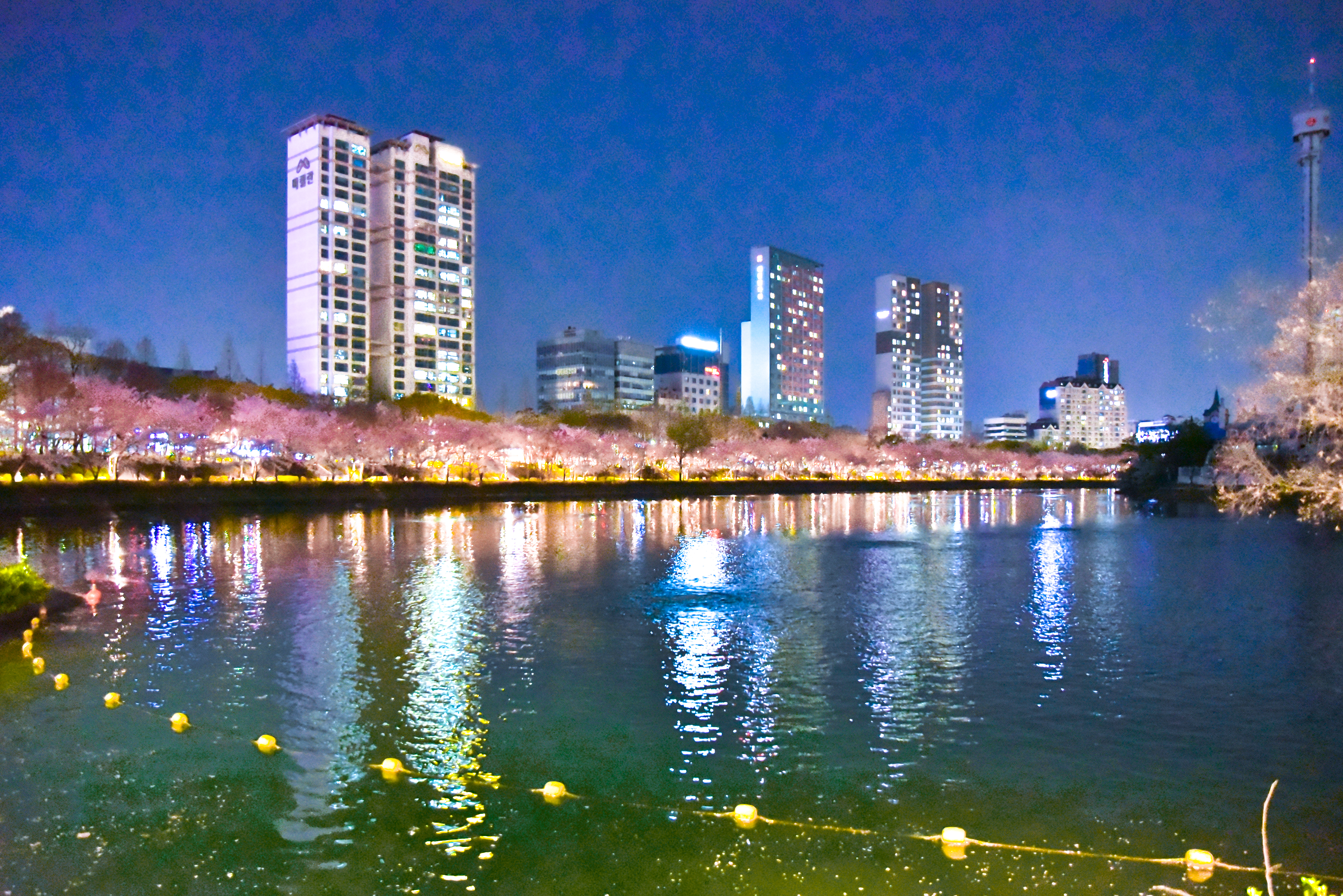 301989888-528.jpg