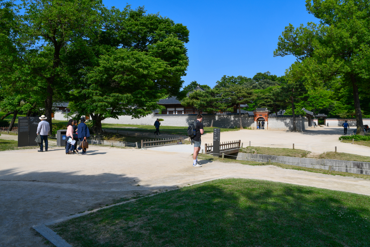 IMG_2749-559.jpg