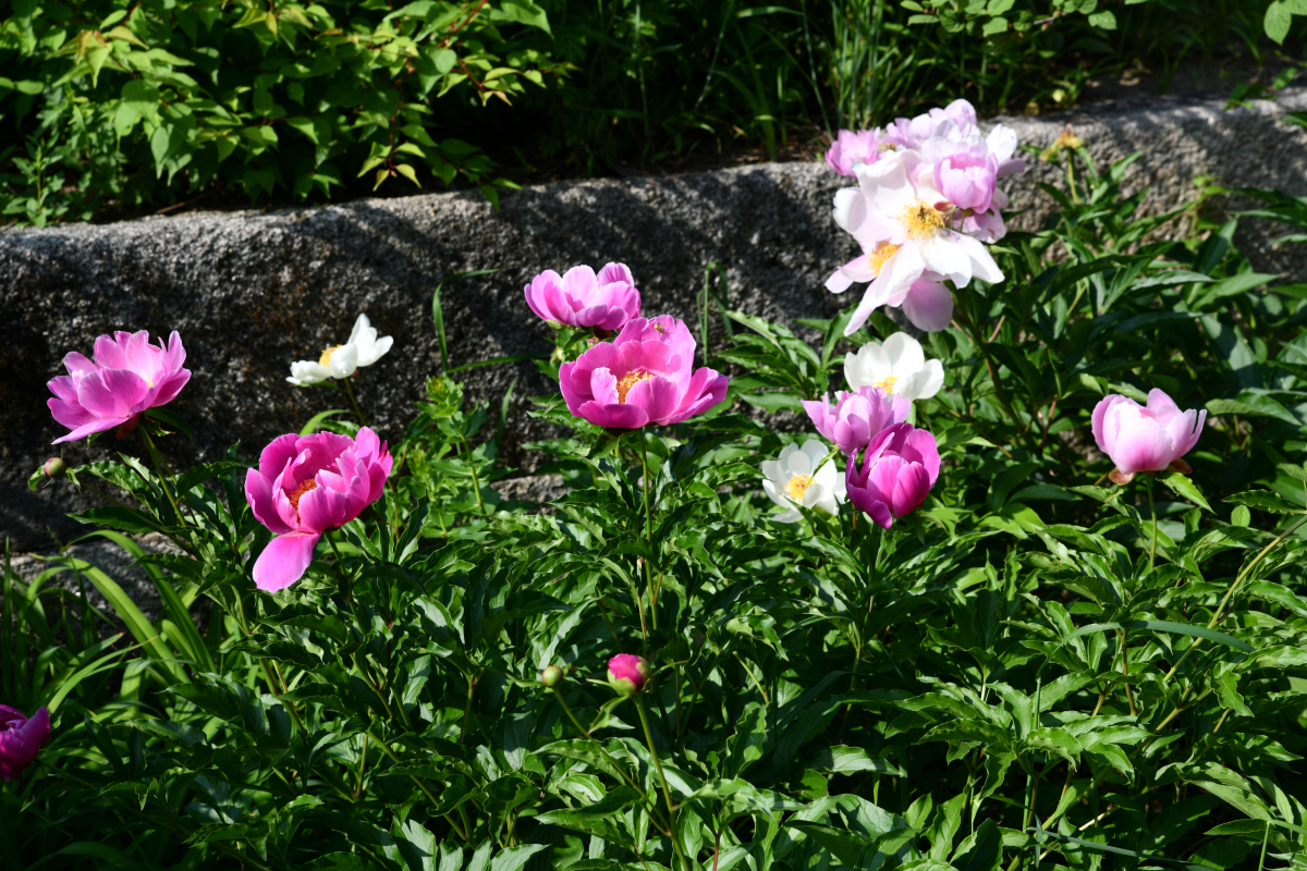 IMG_2773.JPG