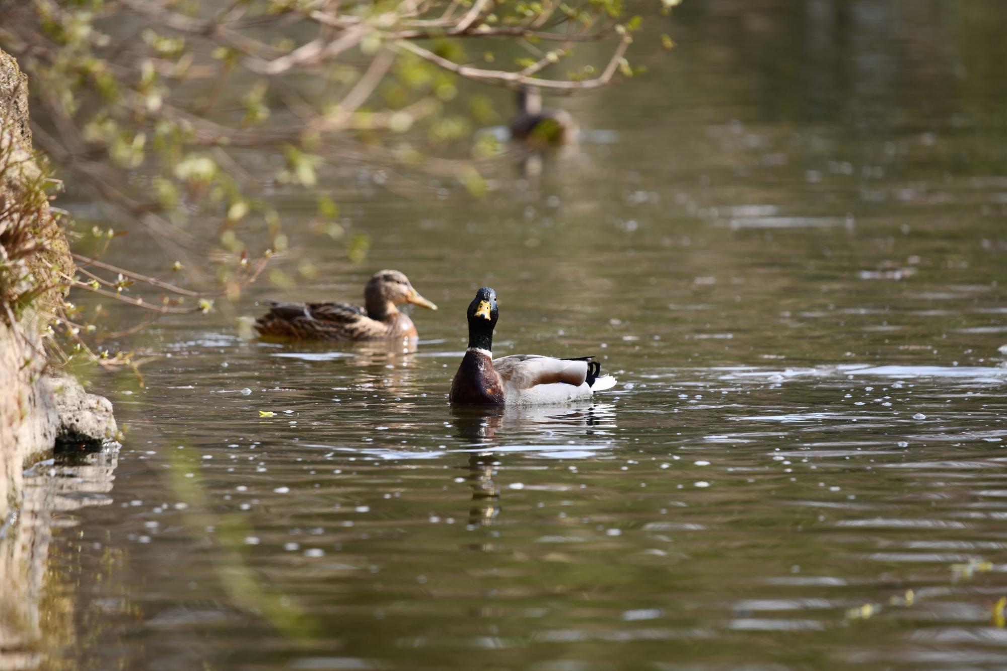 DSC_3814.JPG