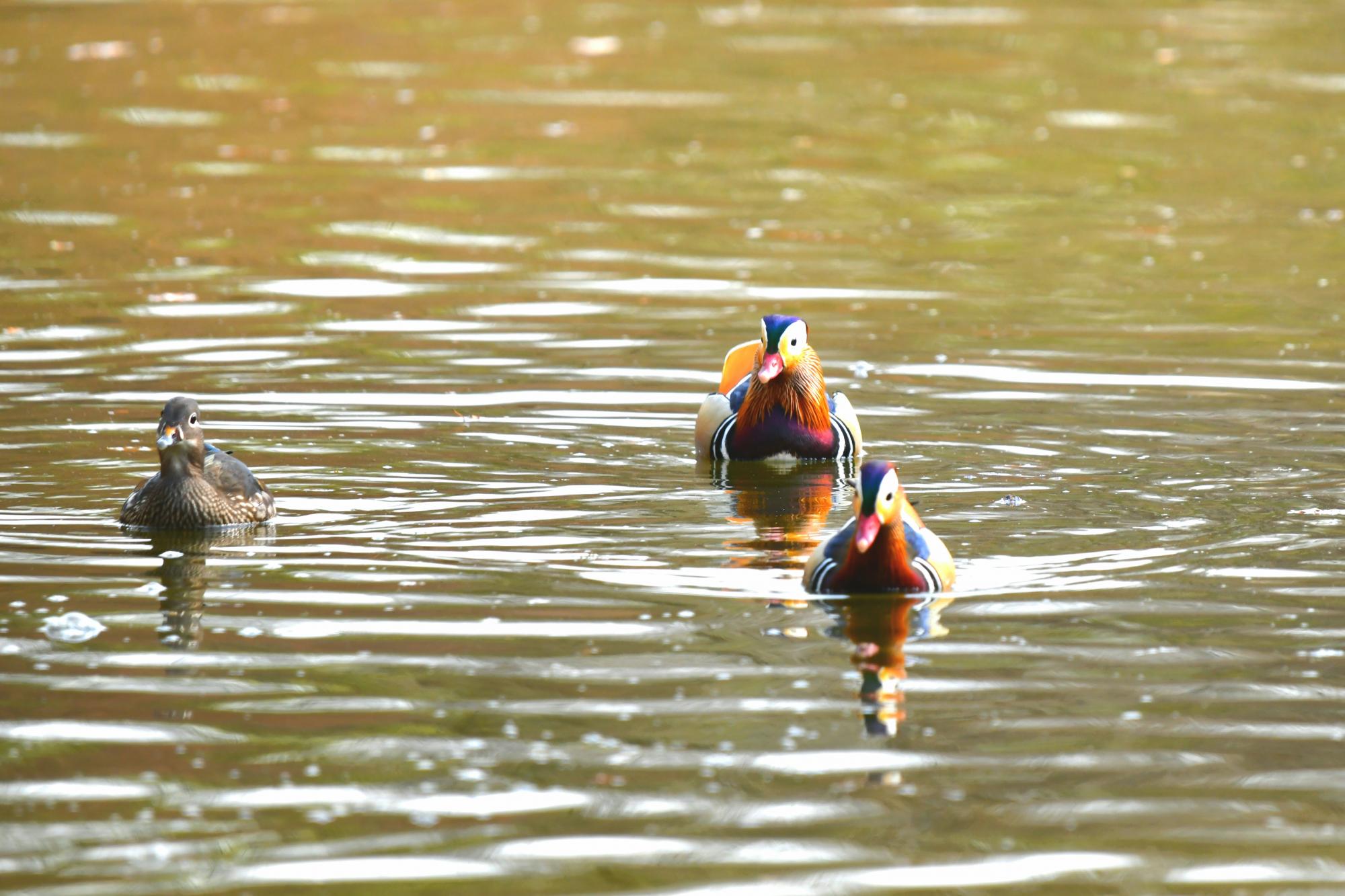 DSC_3808.JPG