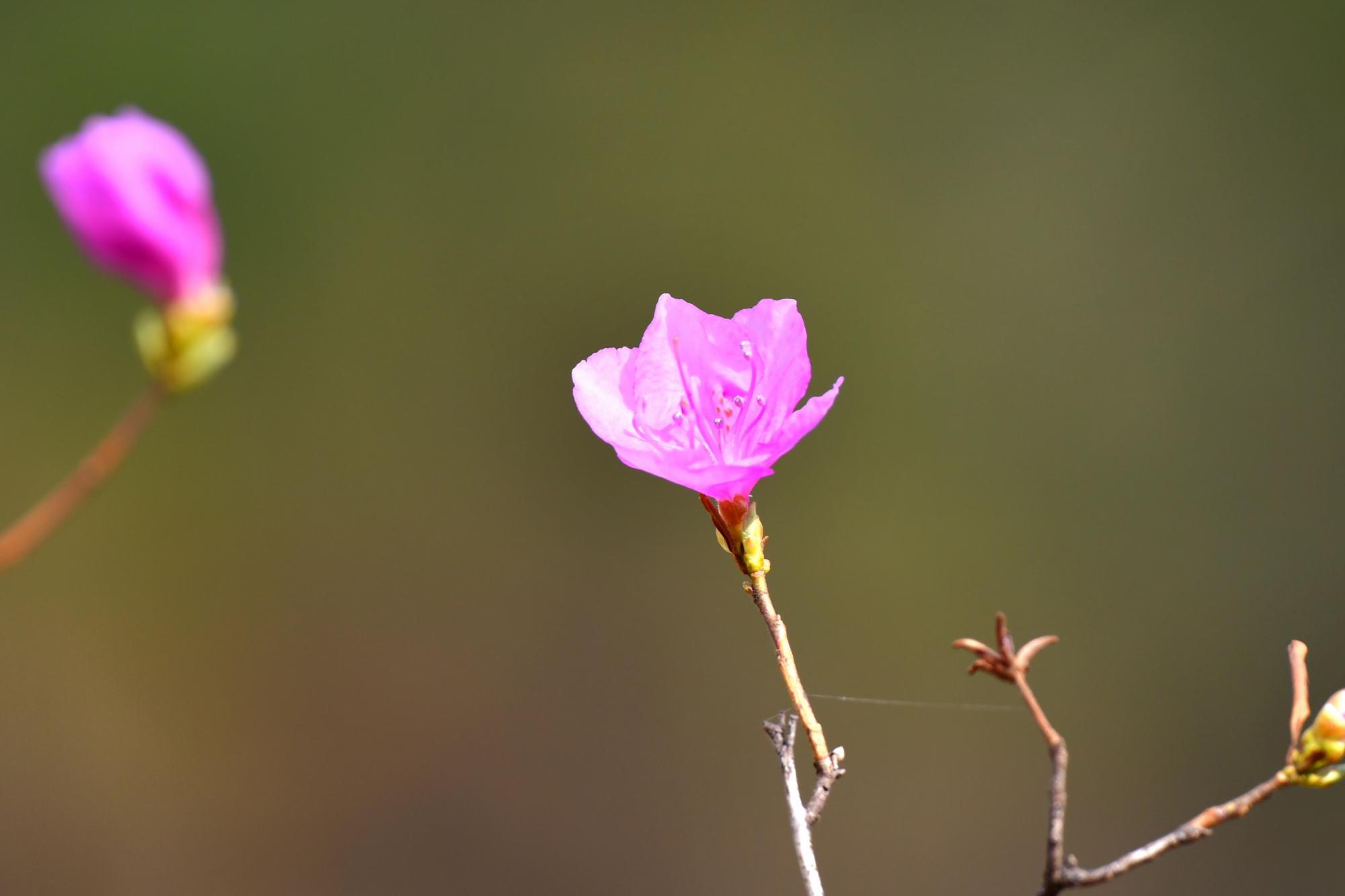 DSC_3719.JPG