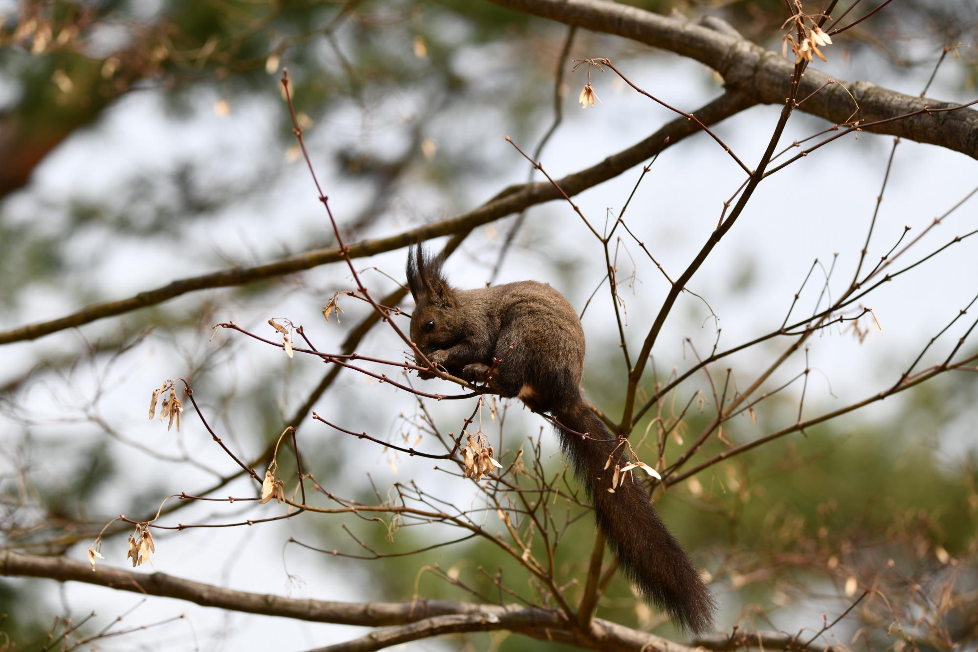 DSC_3706.JPG