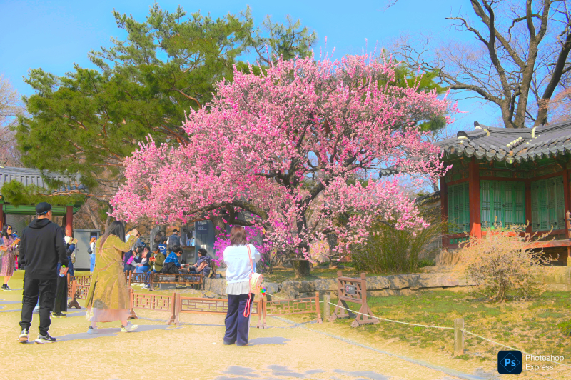 PSX_20250405_020558.jpg