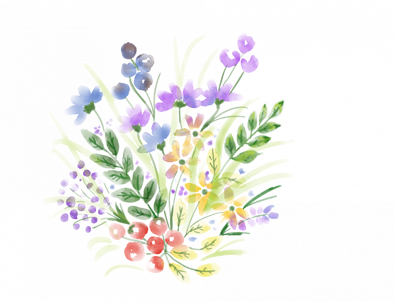 flowers-4151512_1280.png.jpg