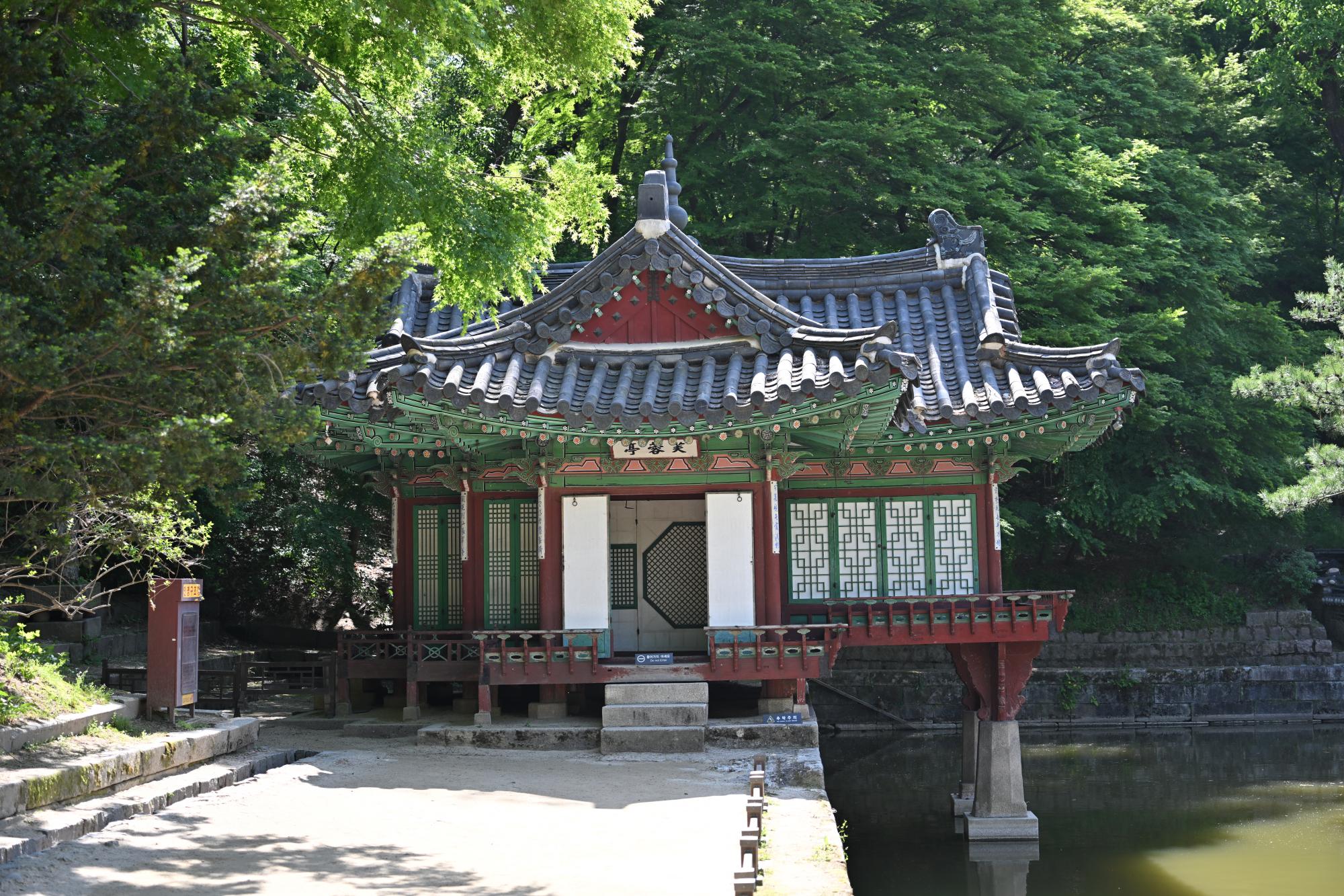 DSC_1077.JPG