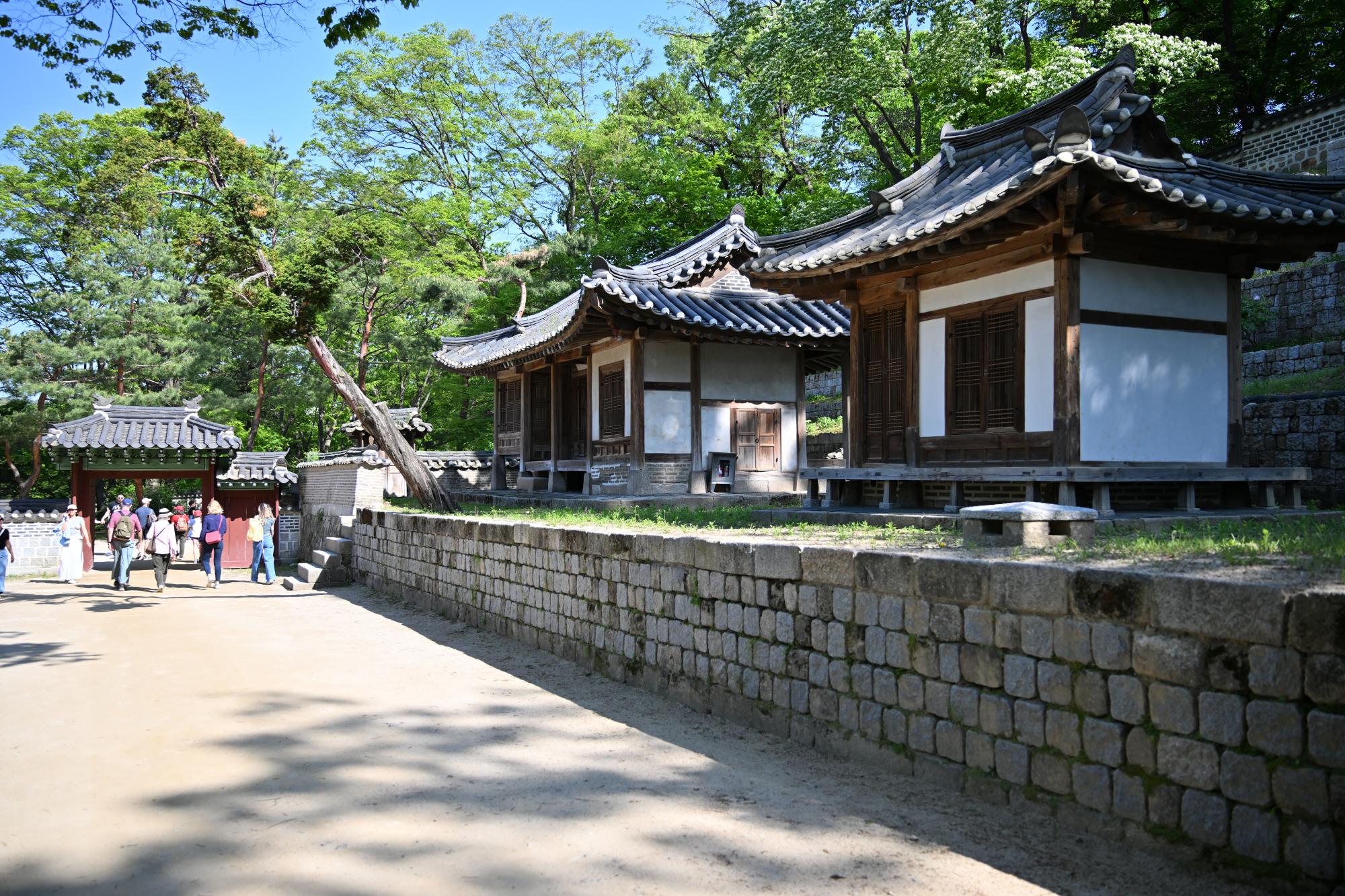 DSC_1116.JPG