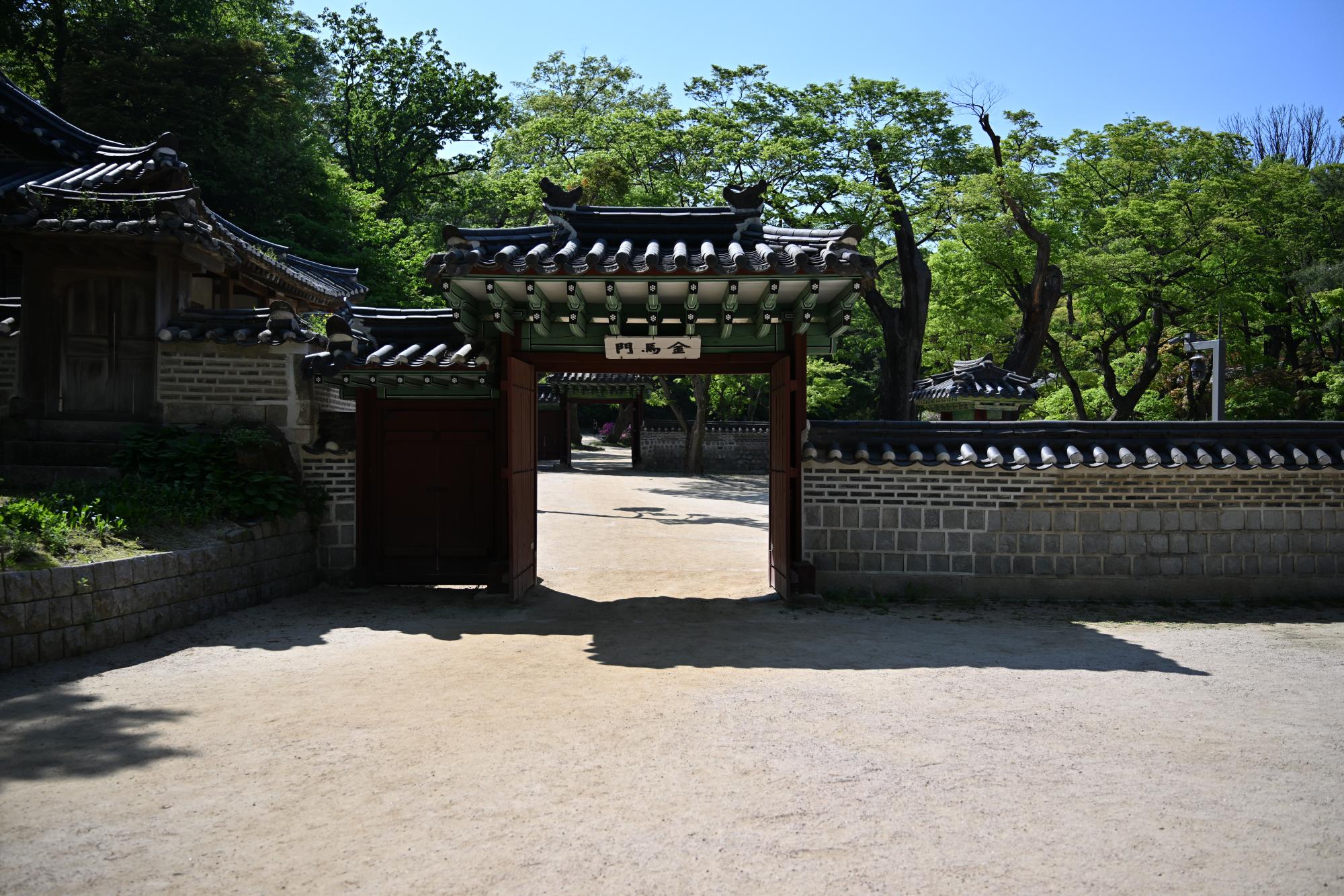DSC_1087.JPG