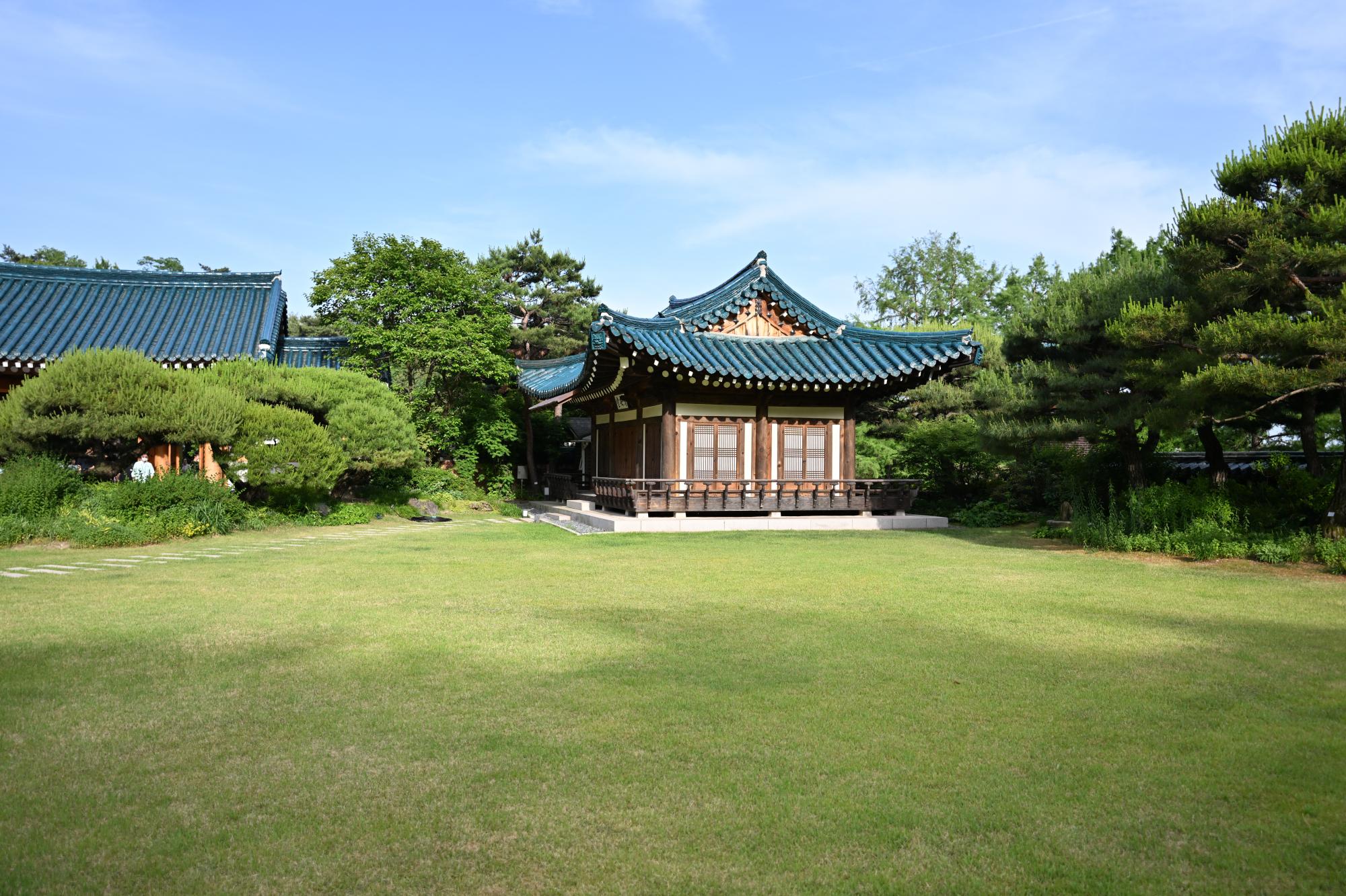 DSC_1305.JPG
